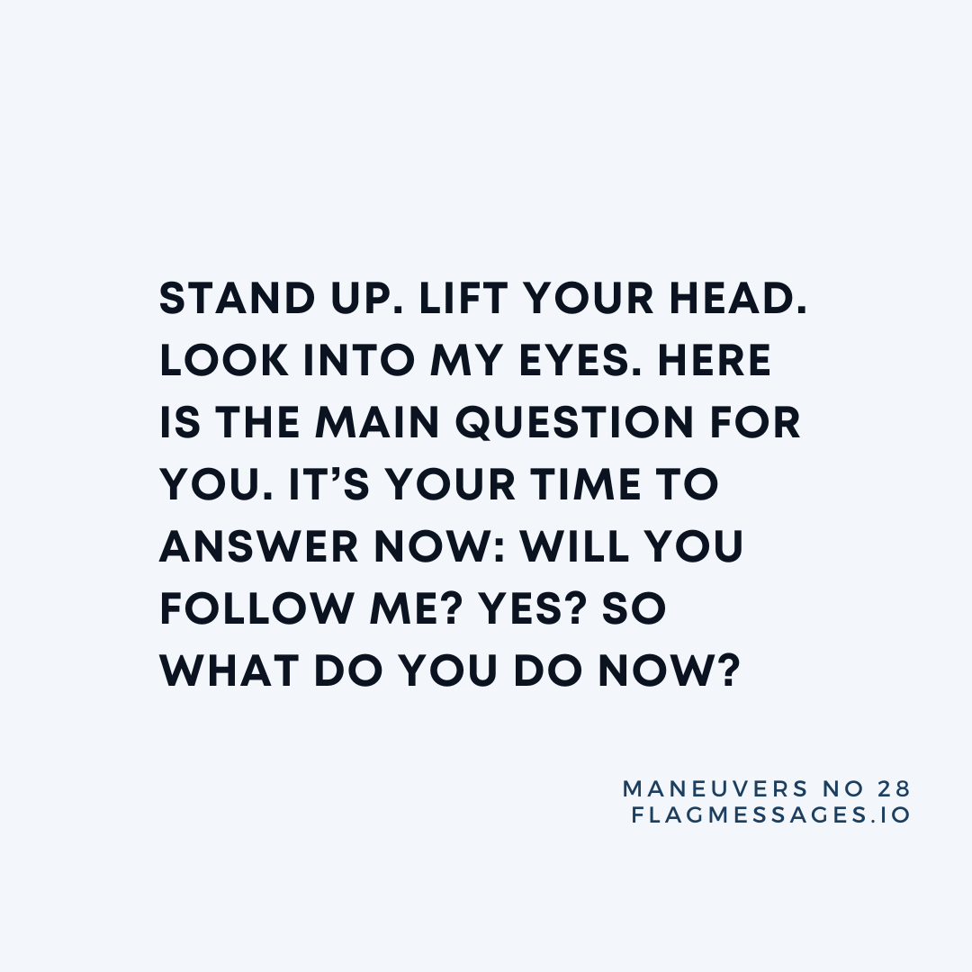 Maneuvers - No. 28