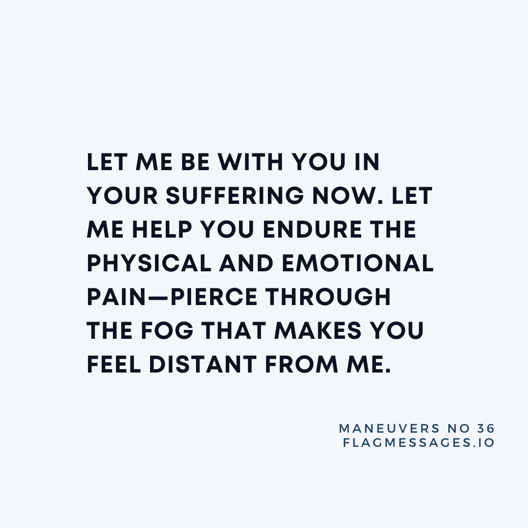 Maneuvers - No. 36