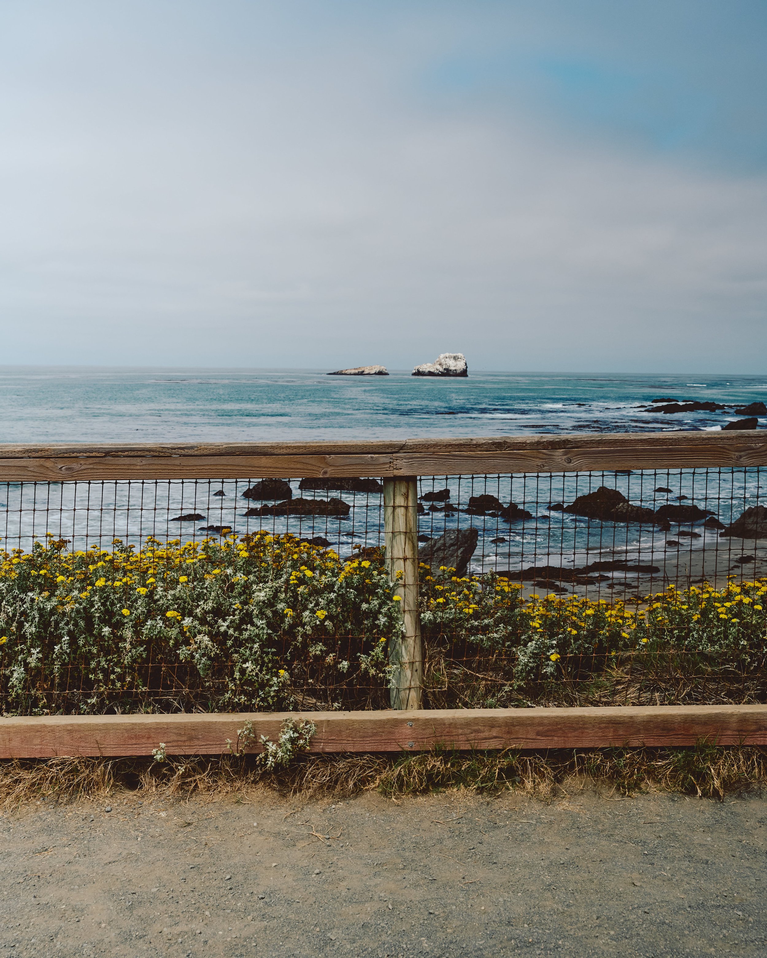 Morro Bay WEB 205.jpg