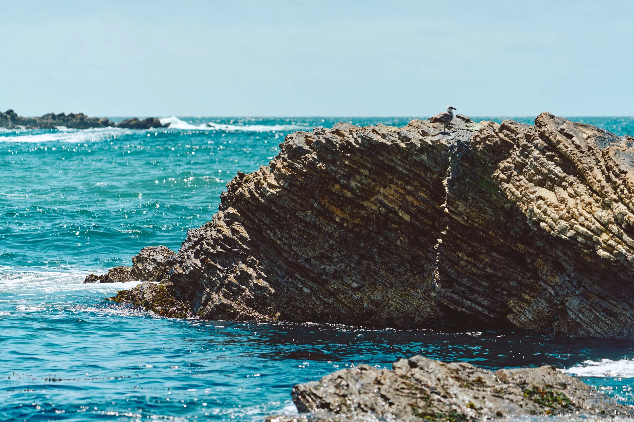 Morro Bay WEB 391.jpg