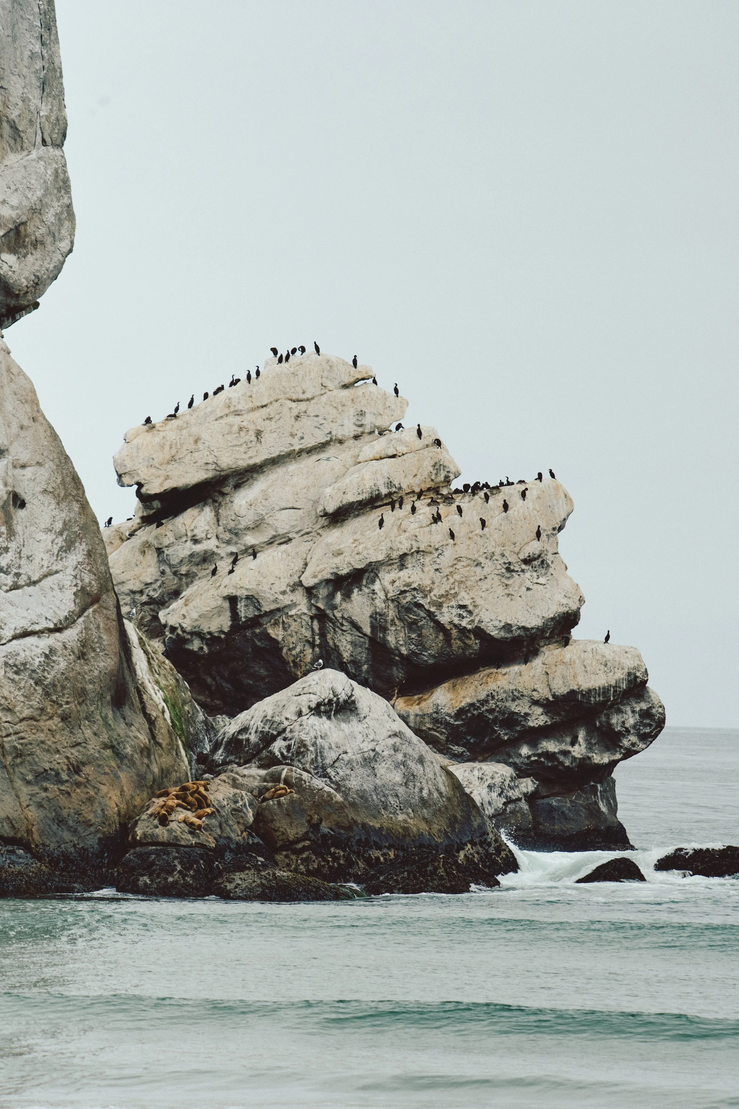 Morro Bay WEB 36.jpg