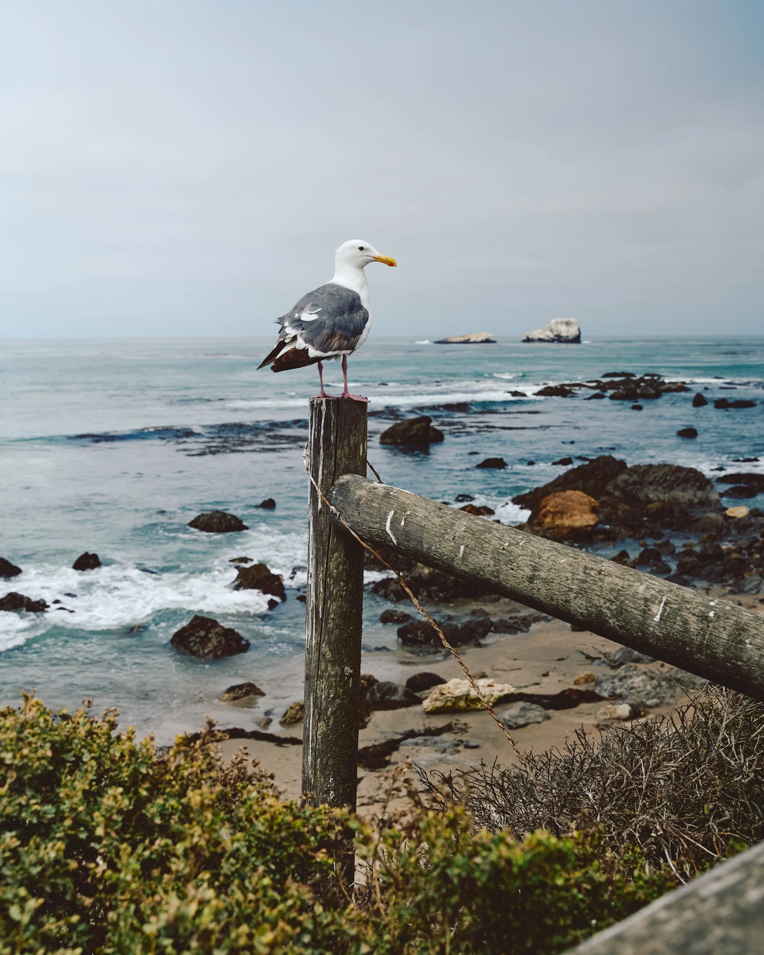 Morro Bay WEB 202.jpg