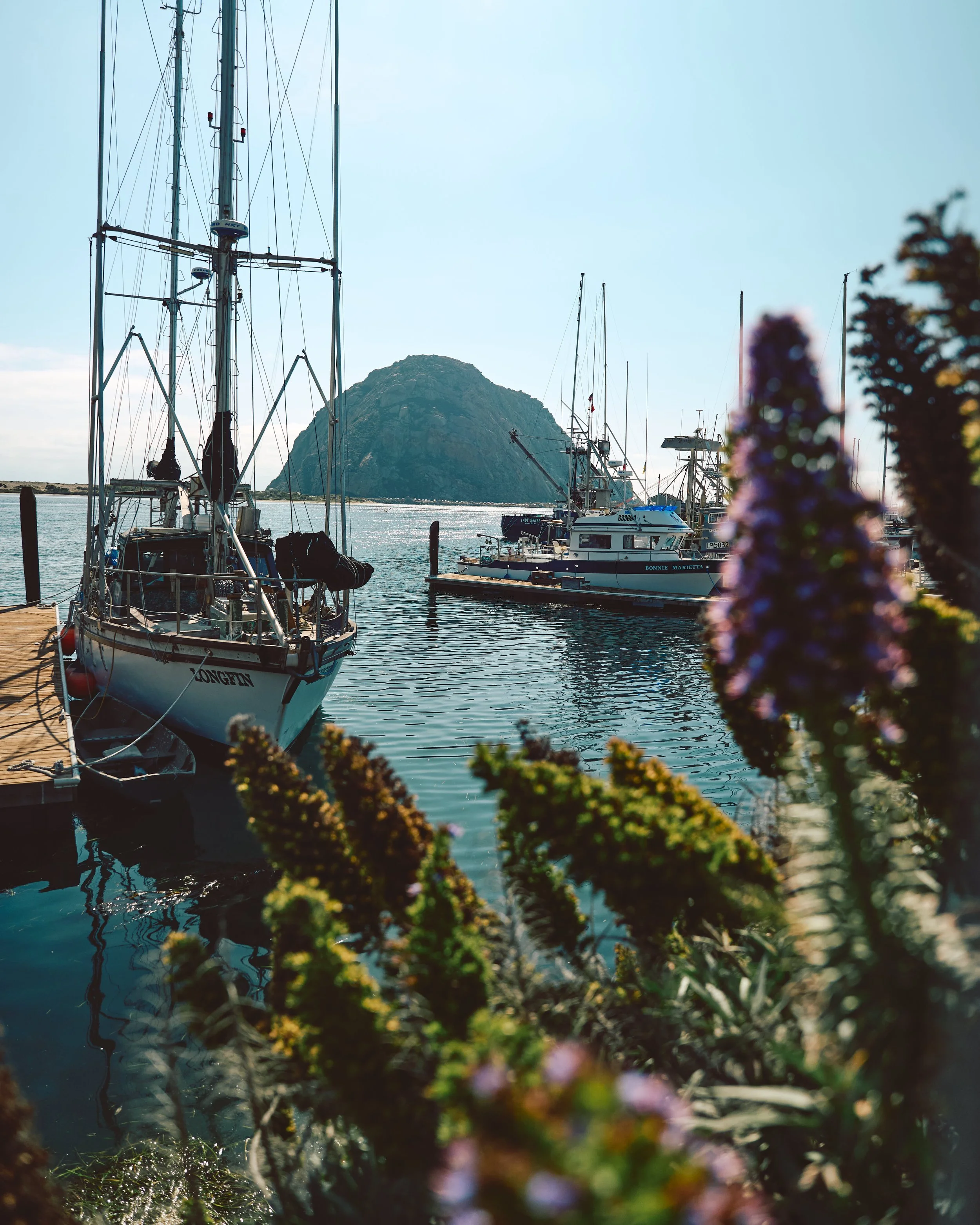 Morro Bay WEB 295.jpg
