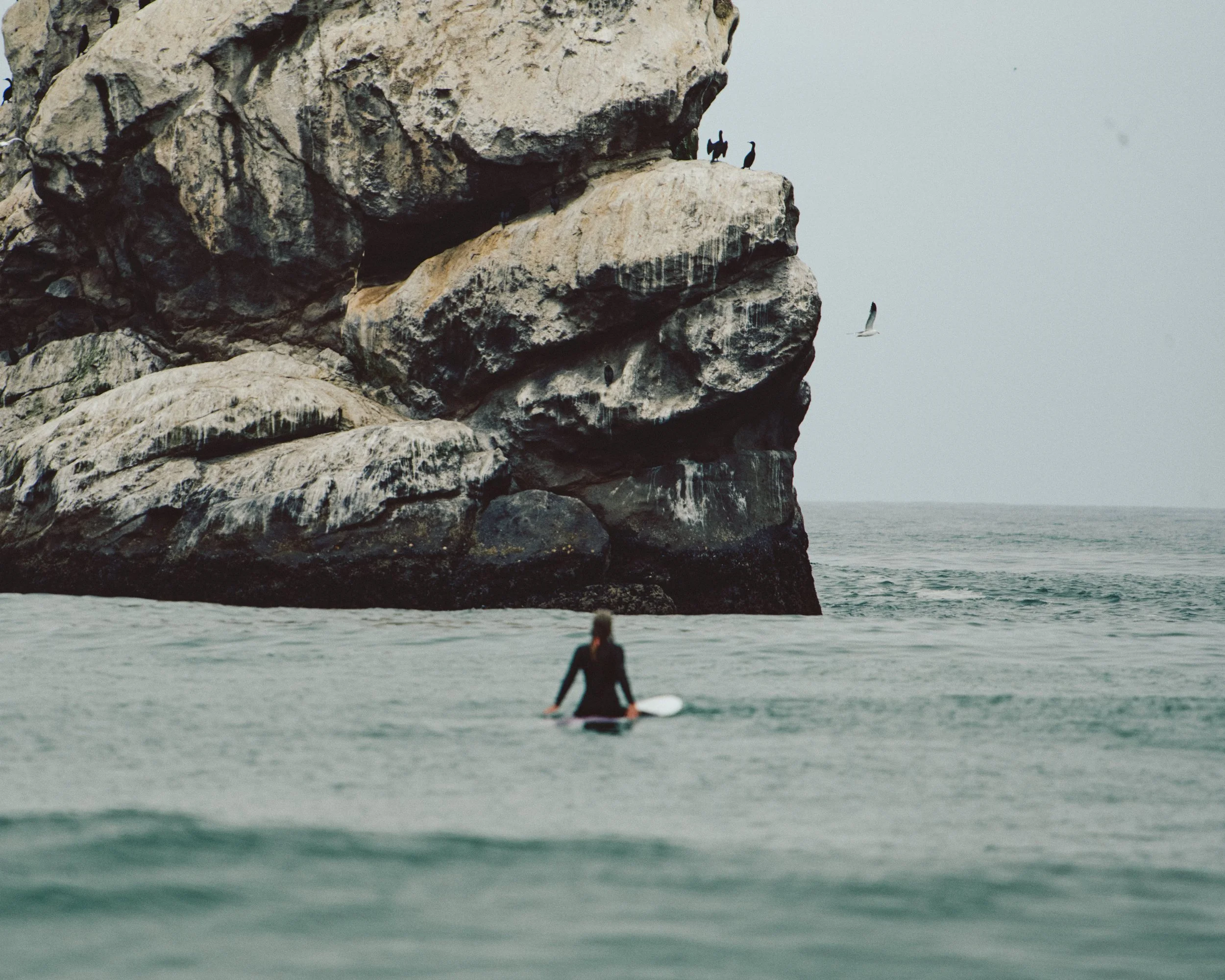 Morro Bay WEB 42.jpg