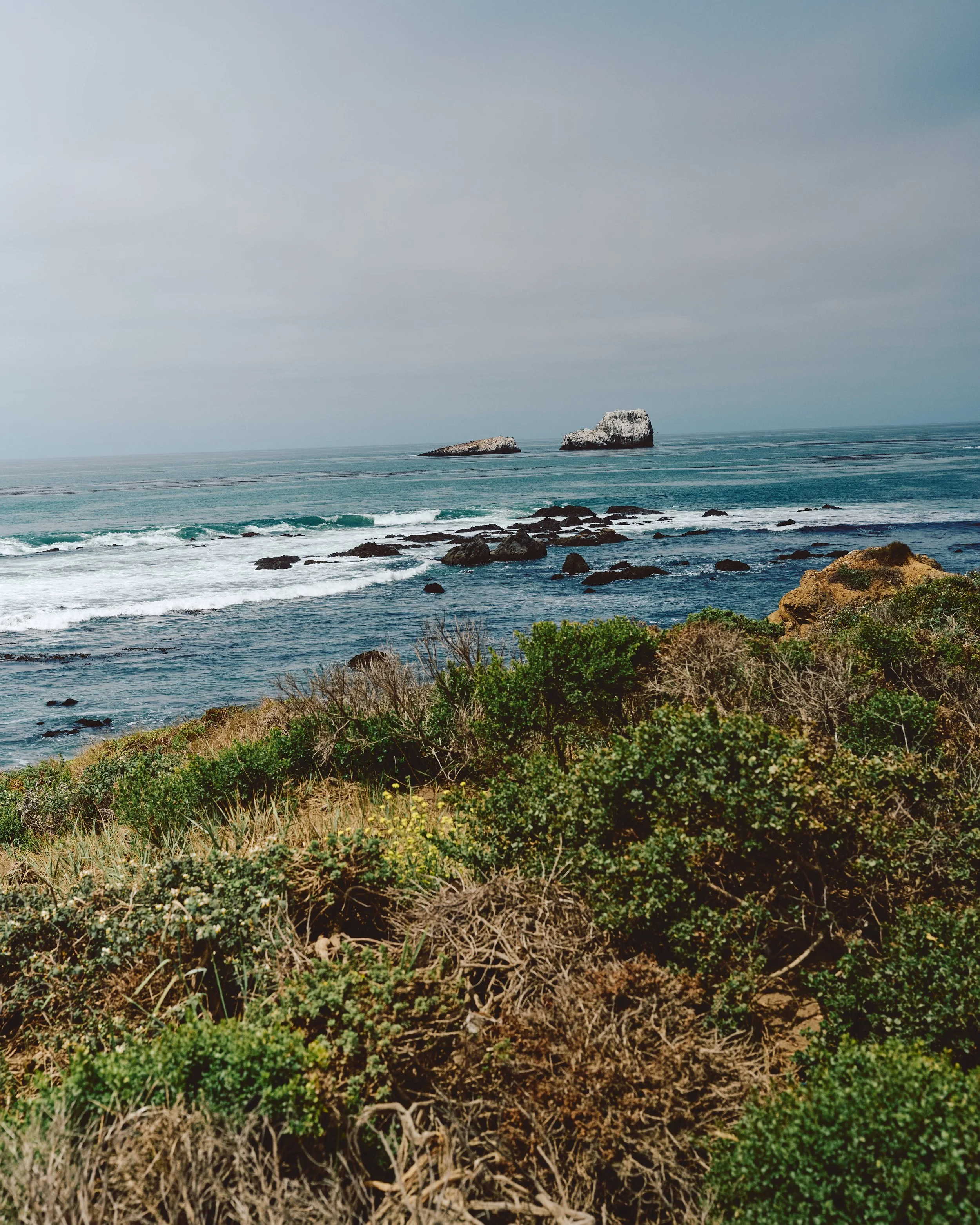 Morro Bay WEB 195.jpg