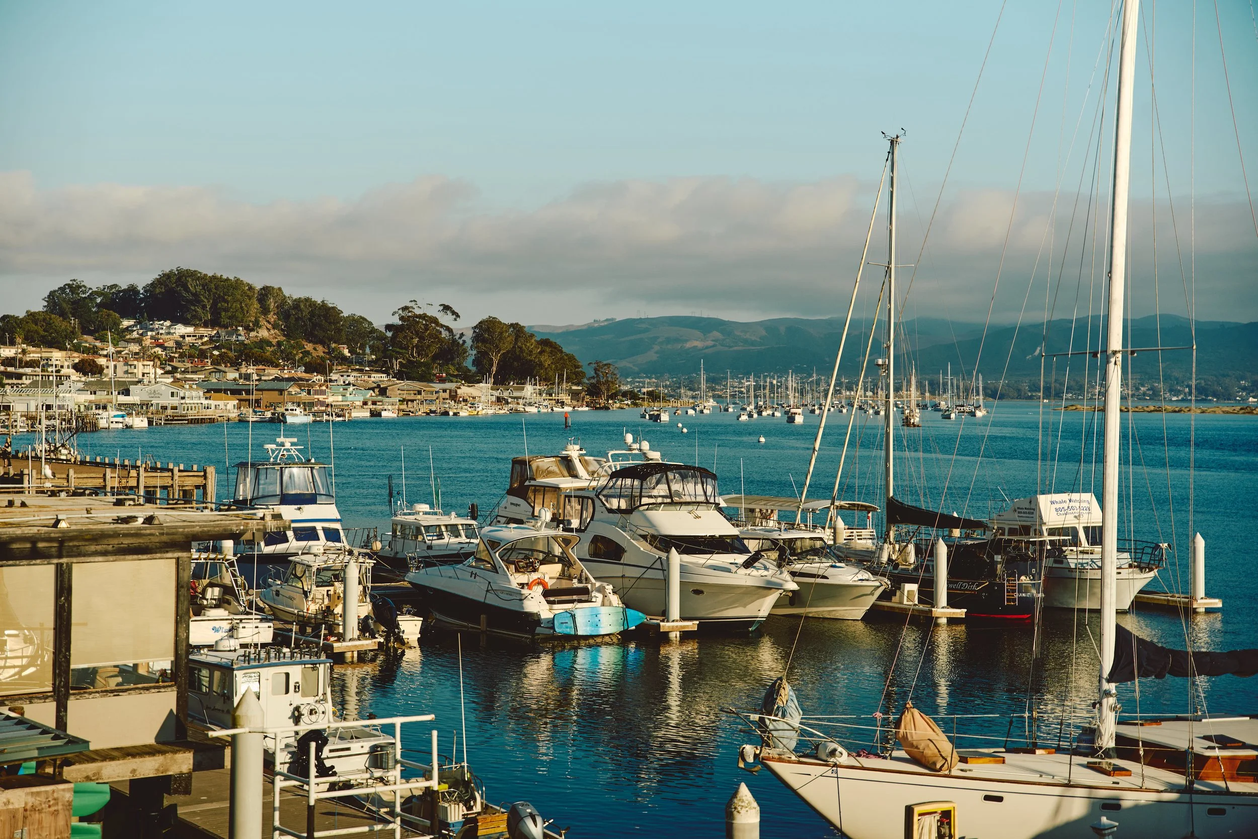 Morro Bay WEB 107.jpg