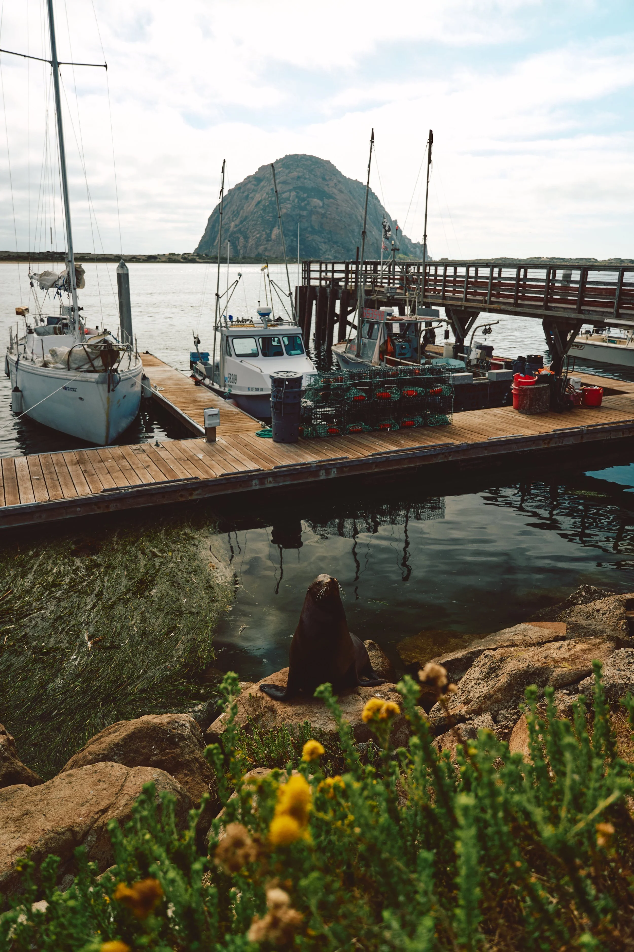 Morro Bay WEB 304.jpg