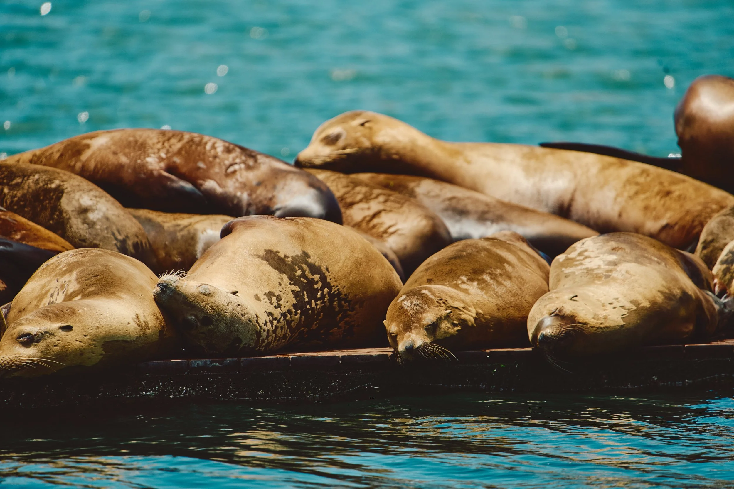 Morro Bay WEB 66.jpg
