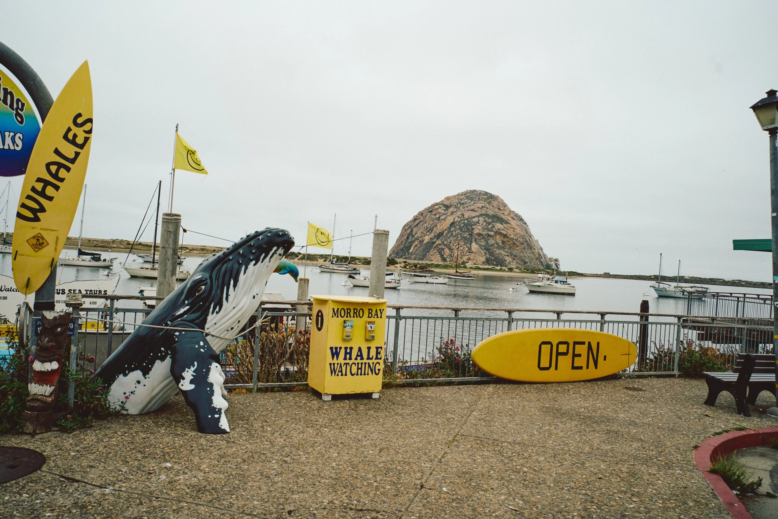 Morro Bay WEB 31.jpg