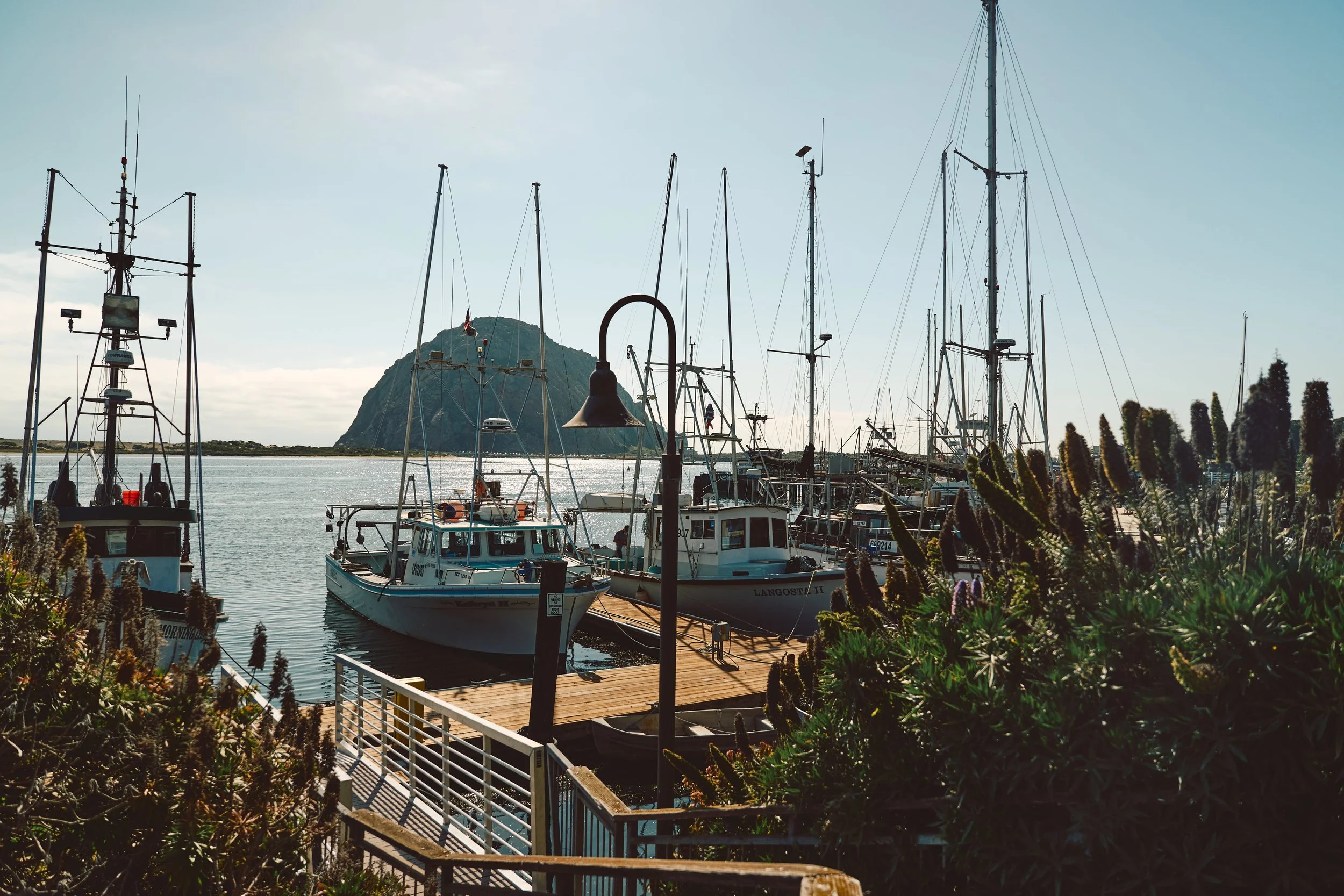 Morro Bay WEB 300.jpg