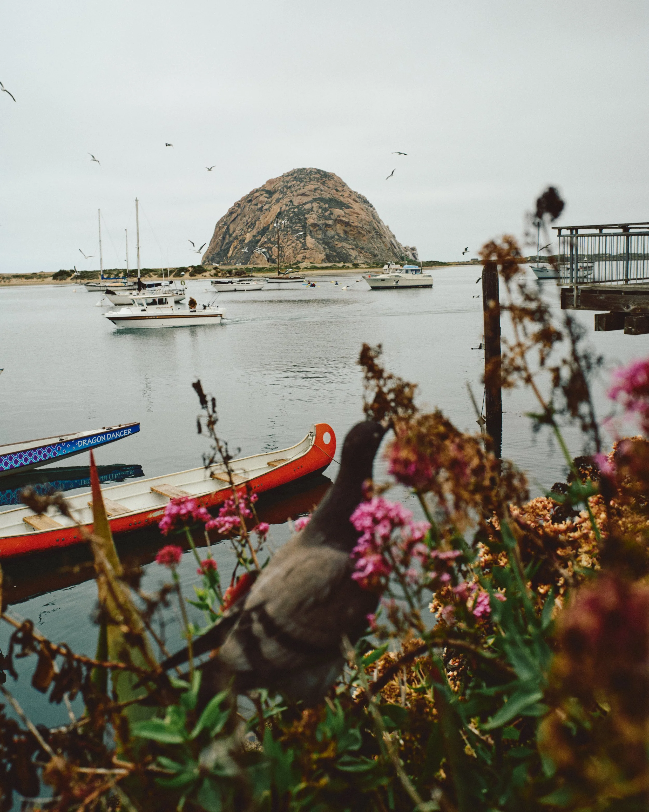 Morro Bay WEB 26.jpg