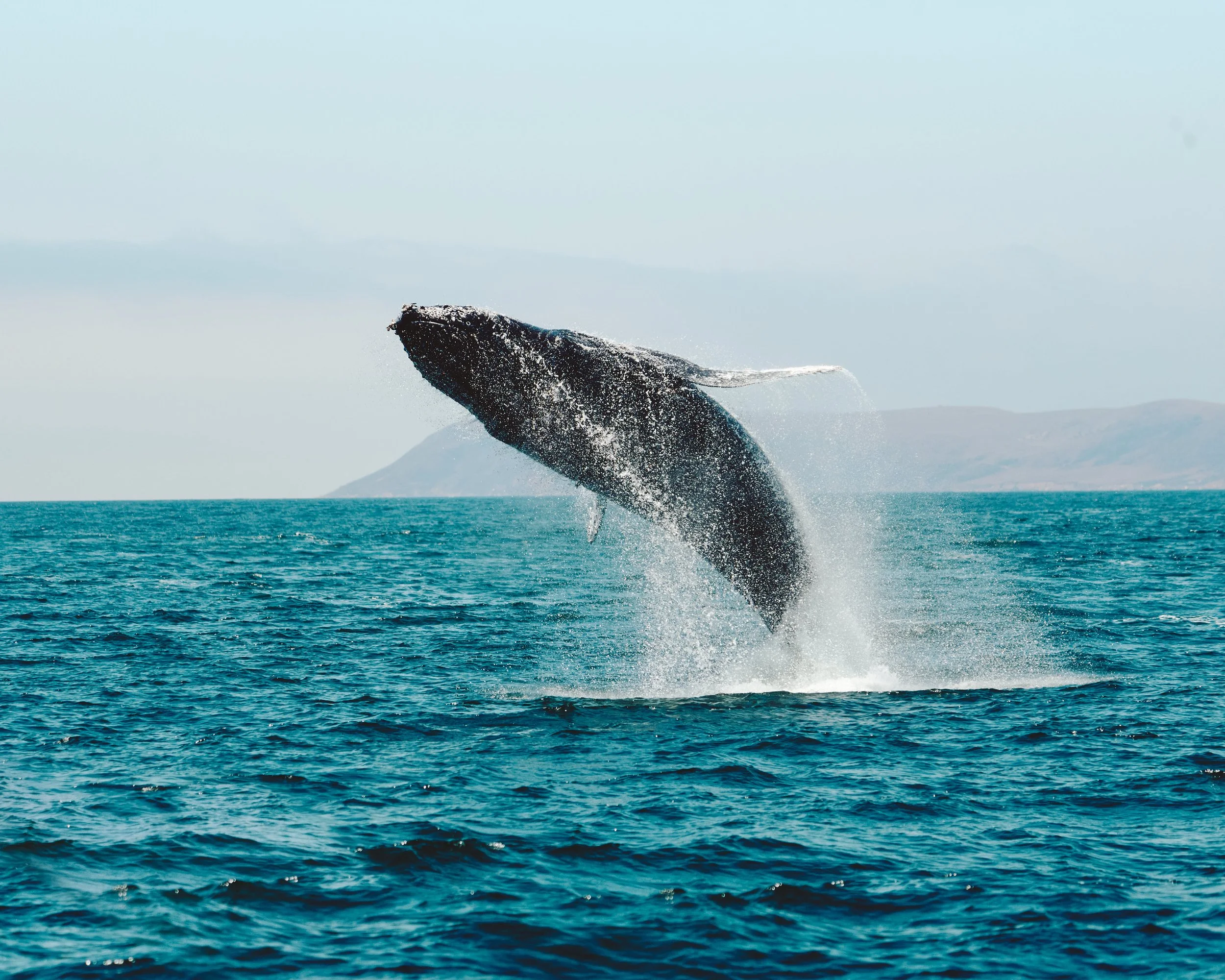 Morro Bay WEB 78.jpg