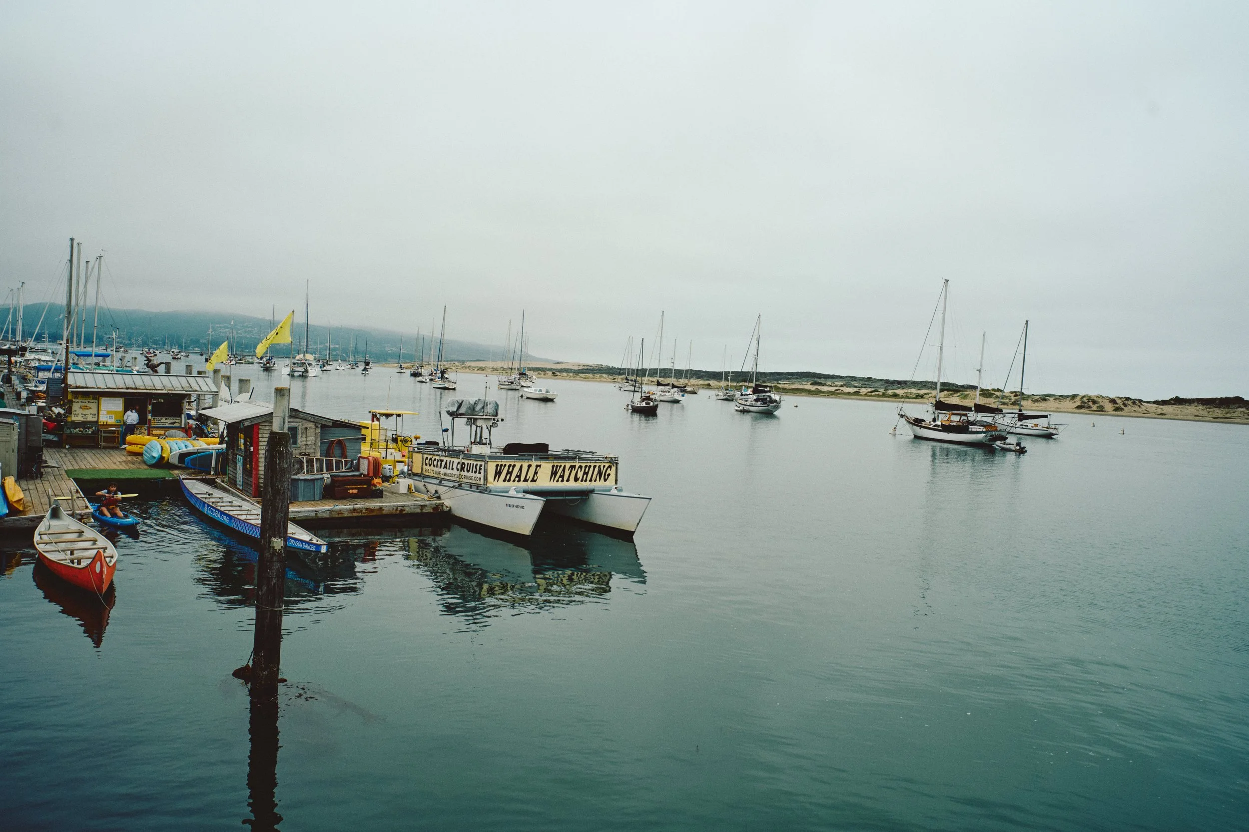Morro Bay WEB 21.jpg
