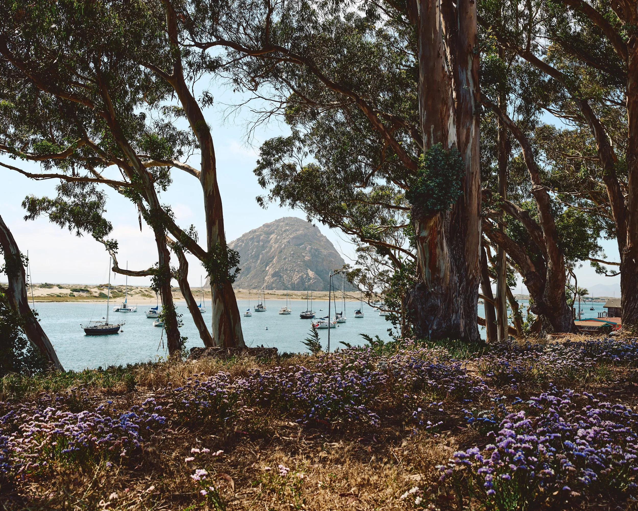 Morro Bay WEB 441.jpg