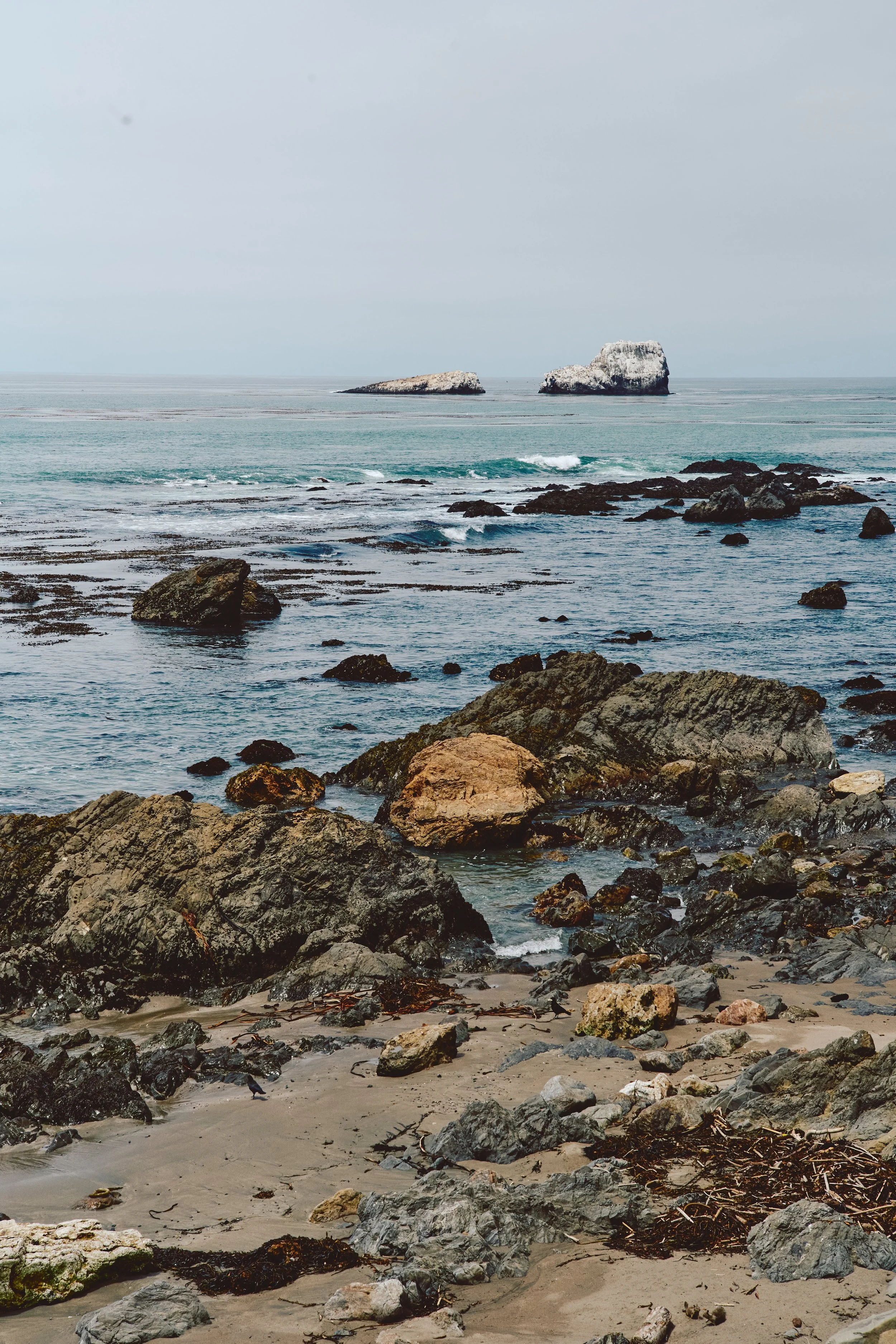 Morro Bay WEB 215.jpg