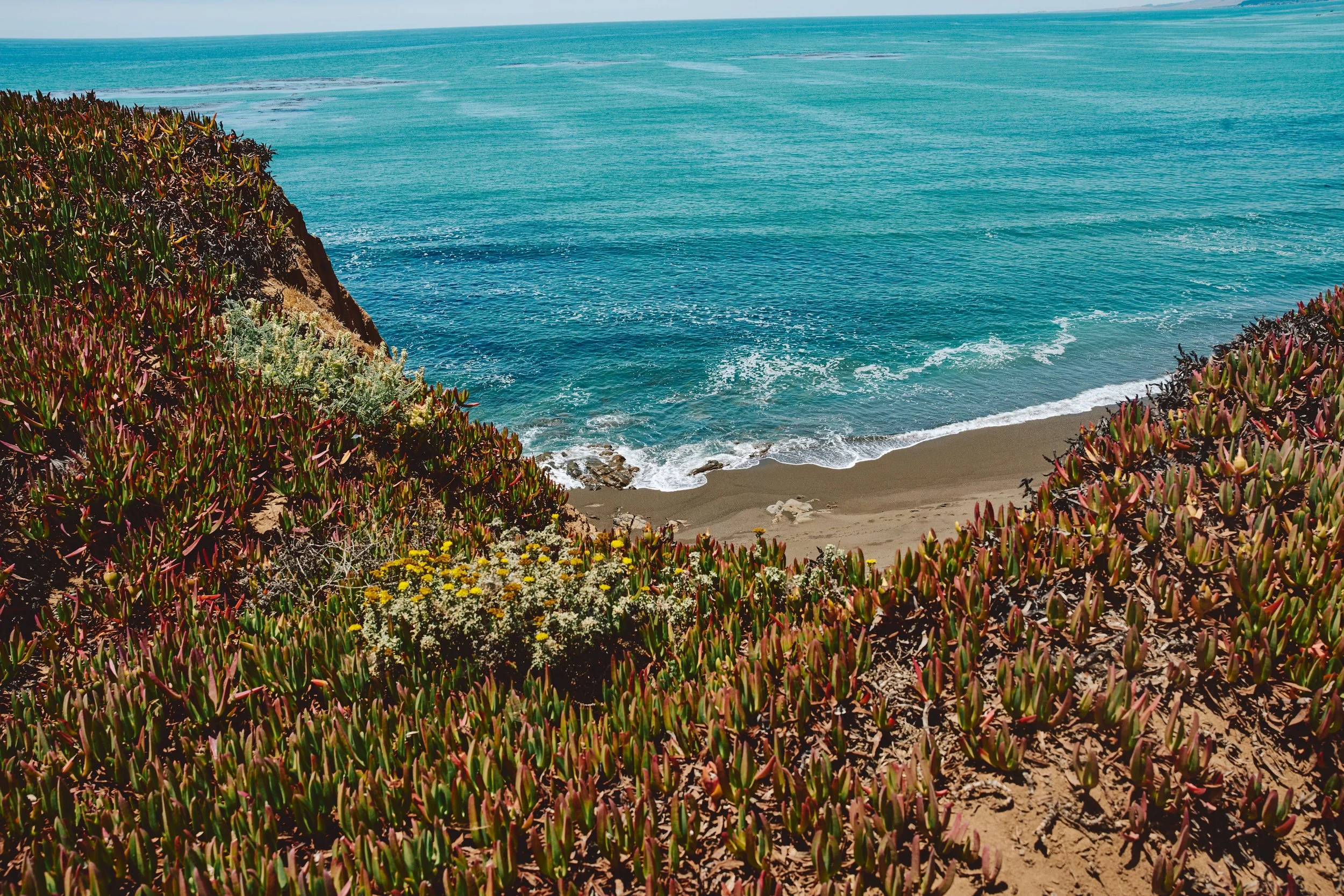 Morro Bay WEB 248.jpg
