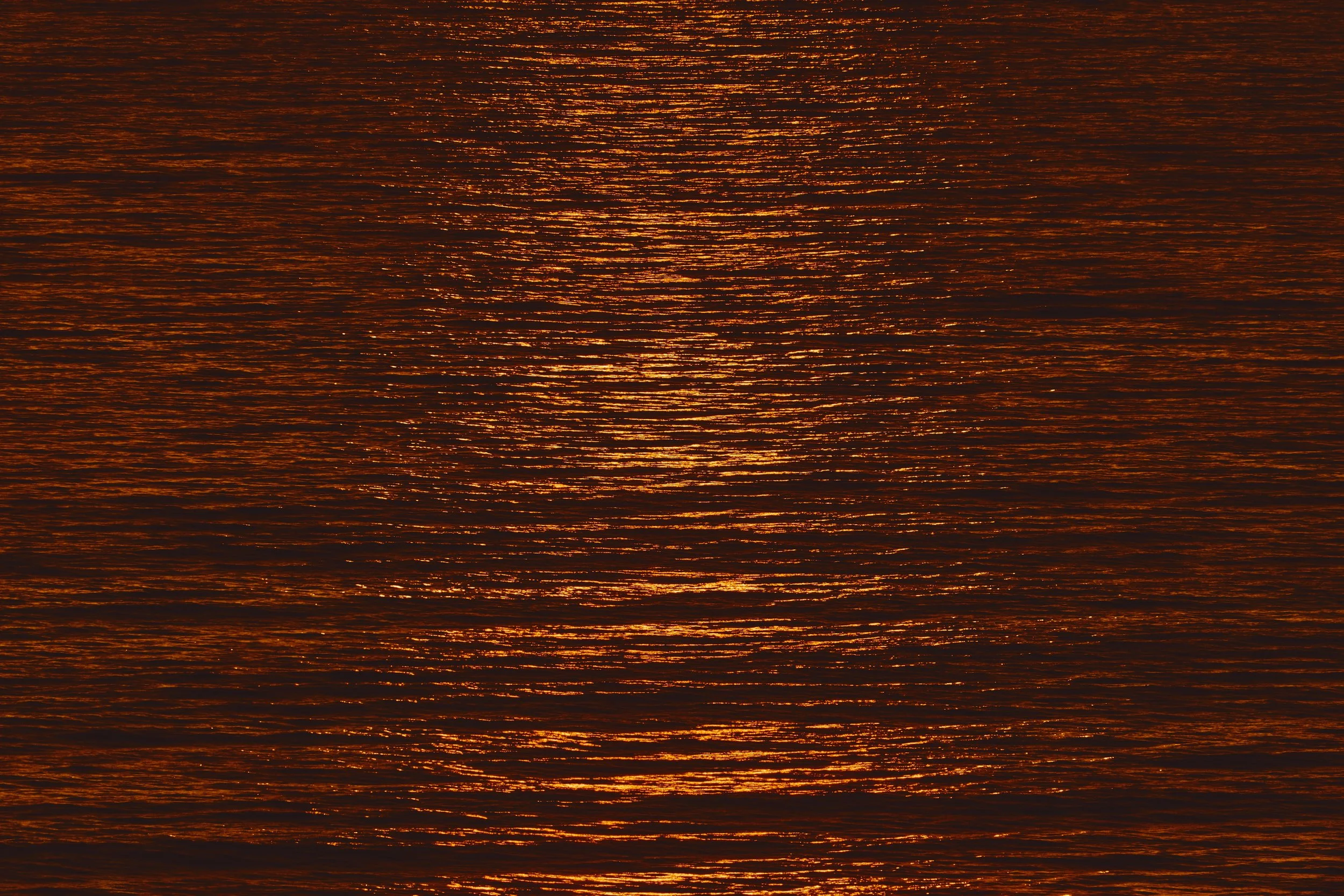 Morro Bay WEB 116.jpg
