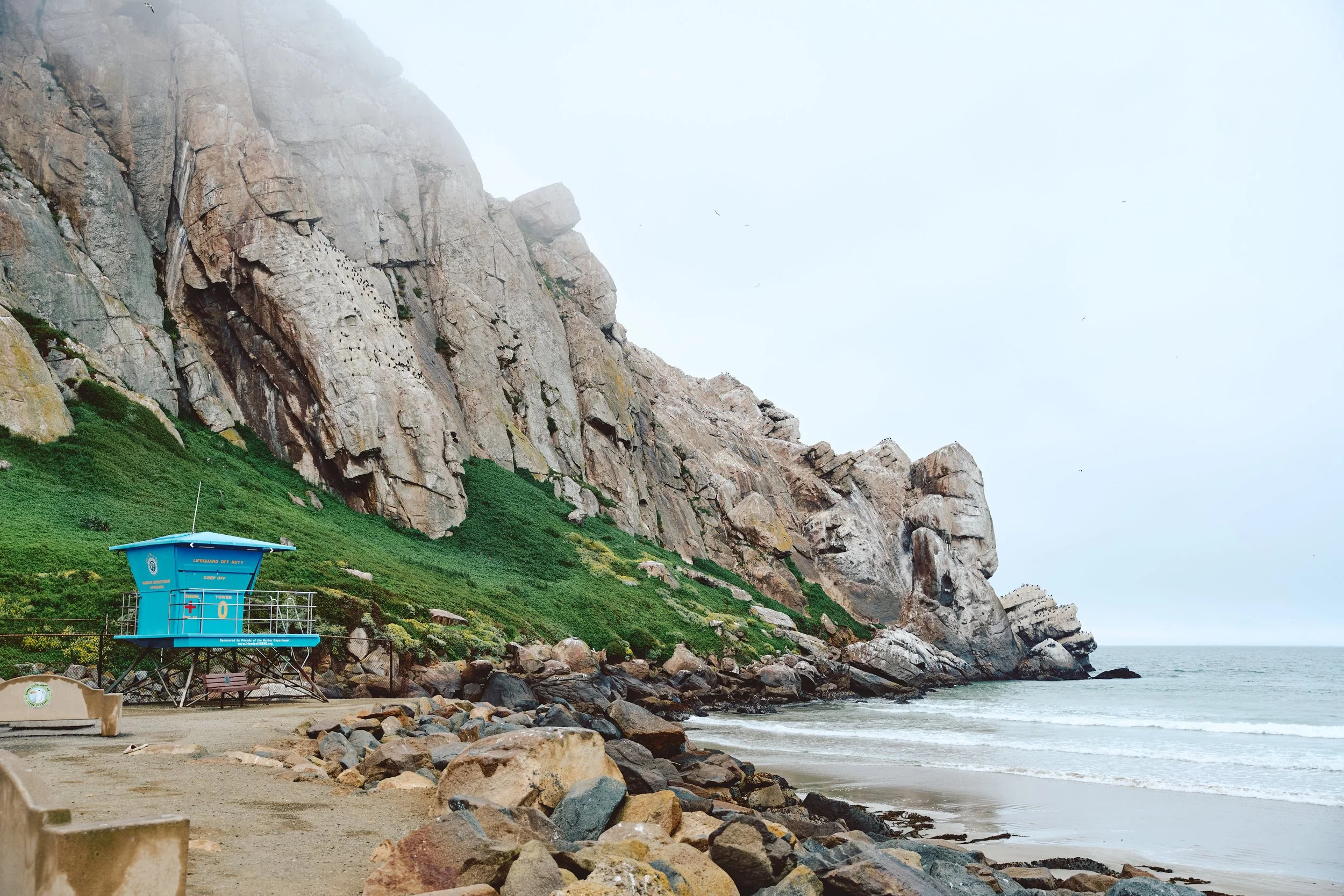Morro Bay WEB 460.jpg
