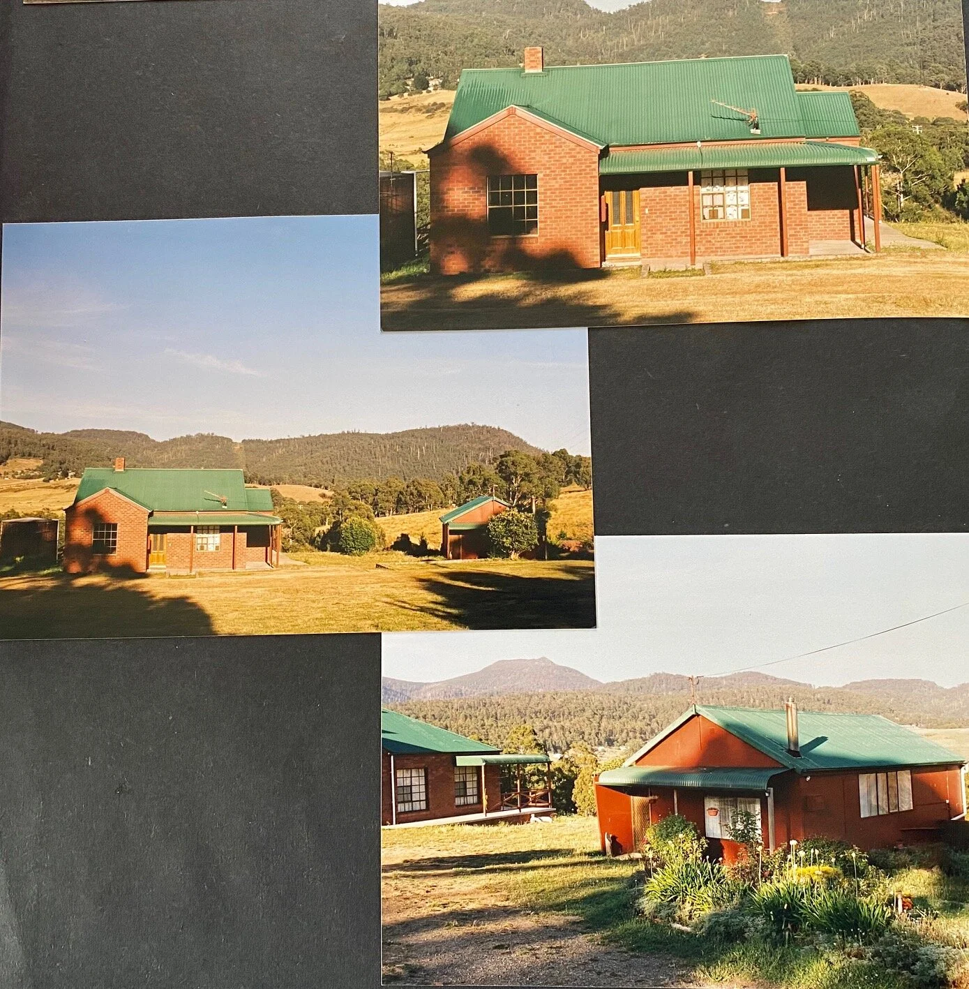 Our property when we first bought it!  Dry, lifeless soil and hardly any birds or insects to be found.  We knew there was potential.