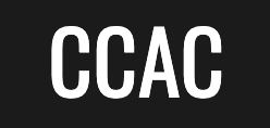 Council of Caribbean Associations Canada Bursary Program