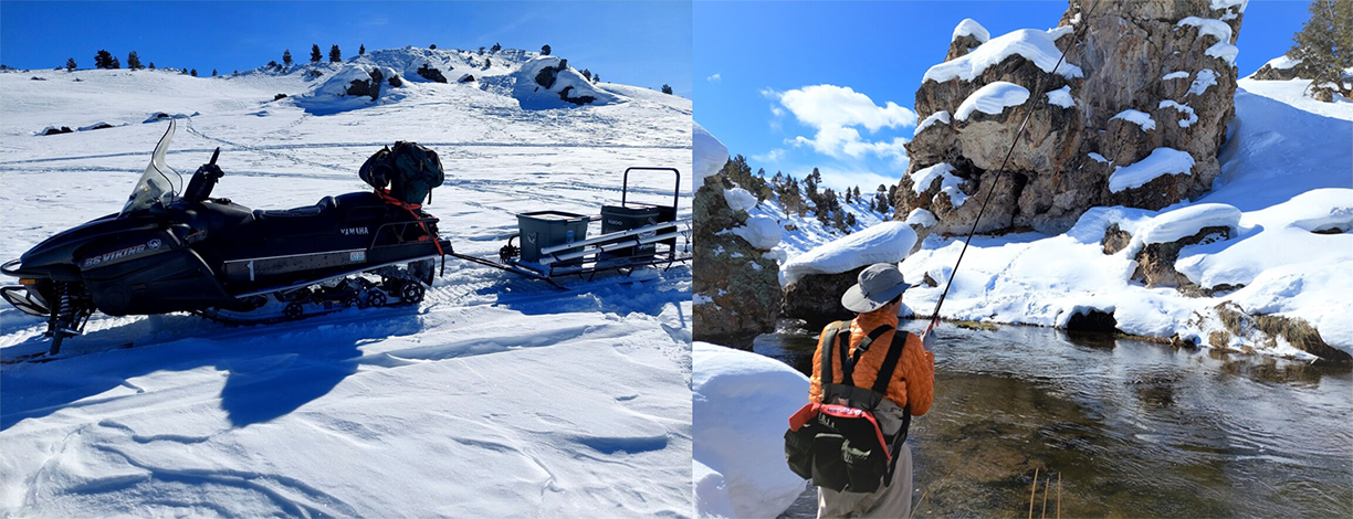 Option B: Snowmowbile