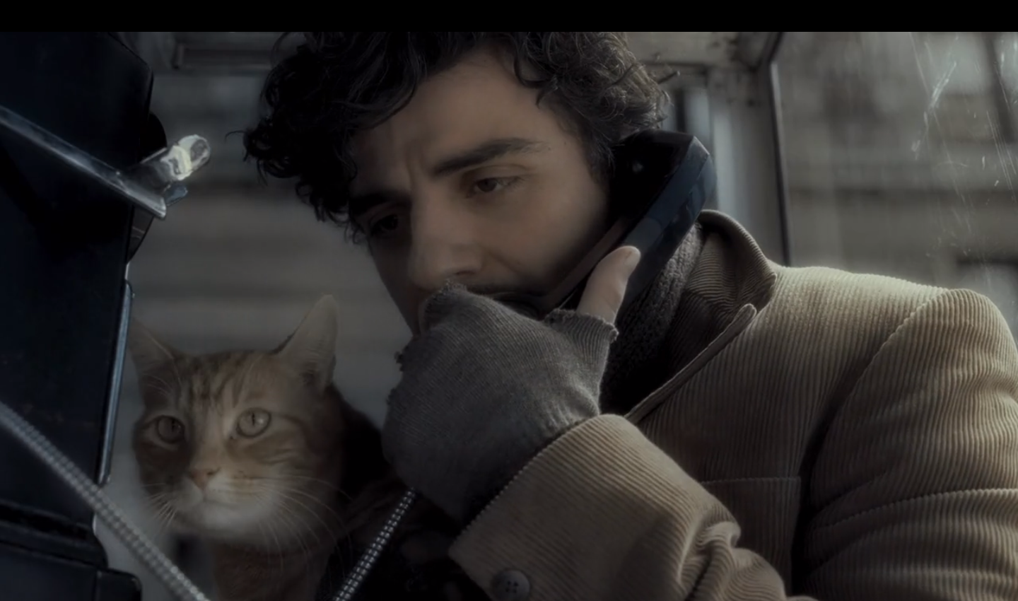 inside-llewyn-davis-llewyn-with-cat-making-phone-call.png