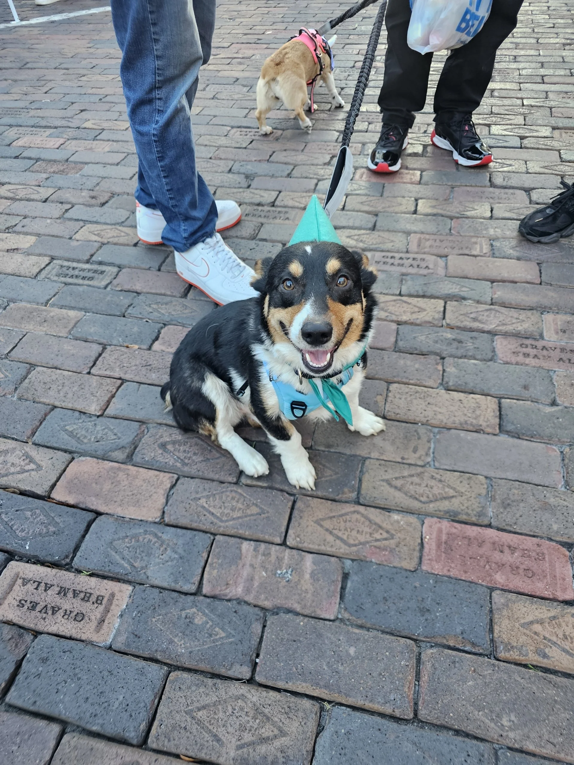 October Last Friday - Jeepers Creepers 