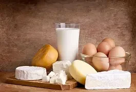 Animal Products.webp