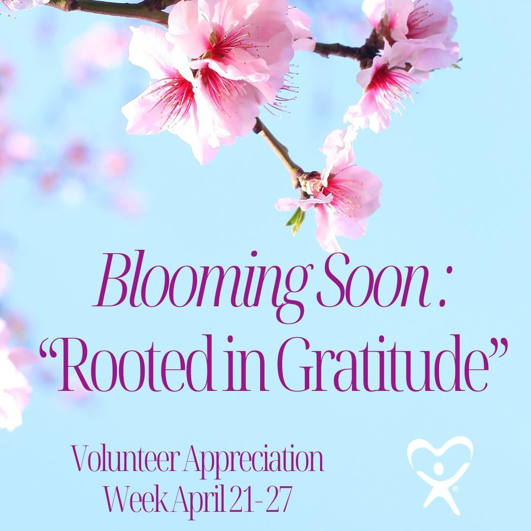 Something beautiful is blooming at CASA! Stay tuned as we prepare to unveil a special tribute that symbolizes our deep appreciation and everlasting gratitude. This spring let&rsquo;s celebrate growth, renewal, and the roots of our dedication together