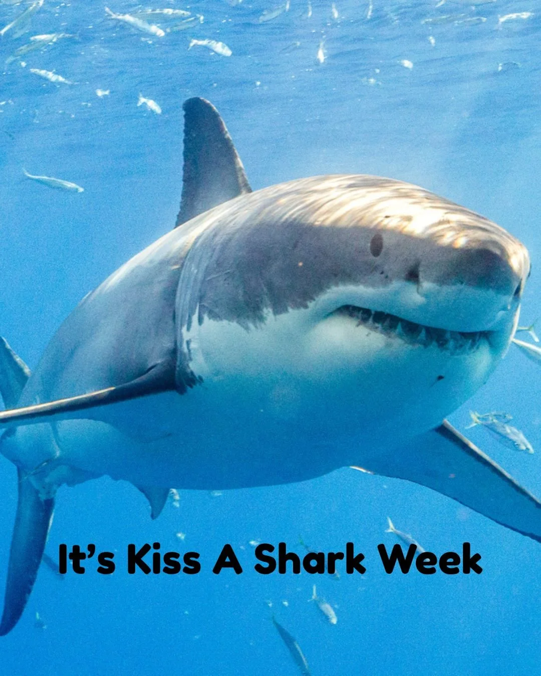 You don&rsquo;t need to chase the next viral moment to make an impact.

CASA Essex has spent 40 years showing up &mdash; consistently &mdash; for children.

This is what lasting impact looks like. And we&rsquo;re just getting started.

Come be part o