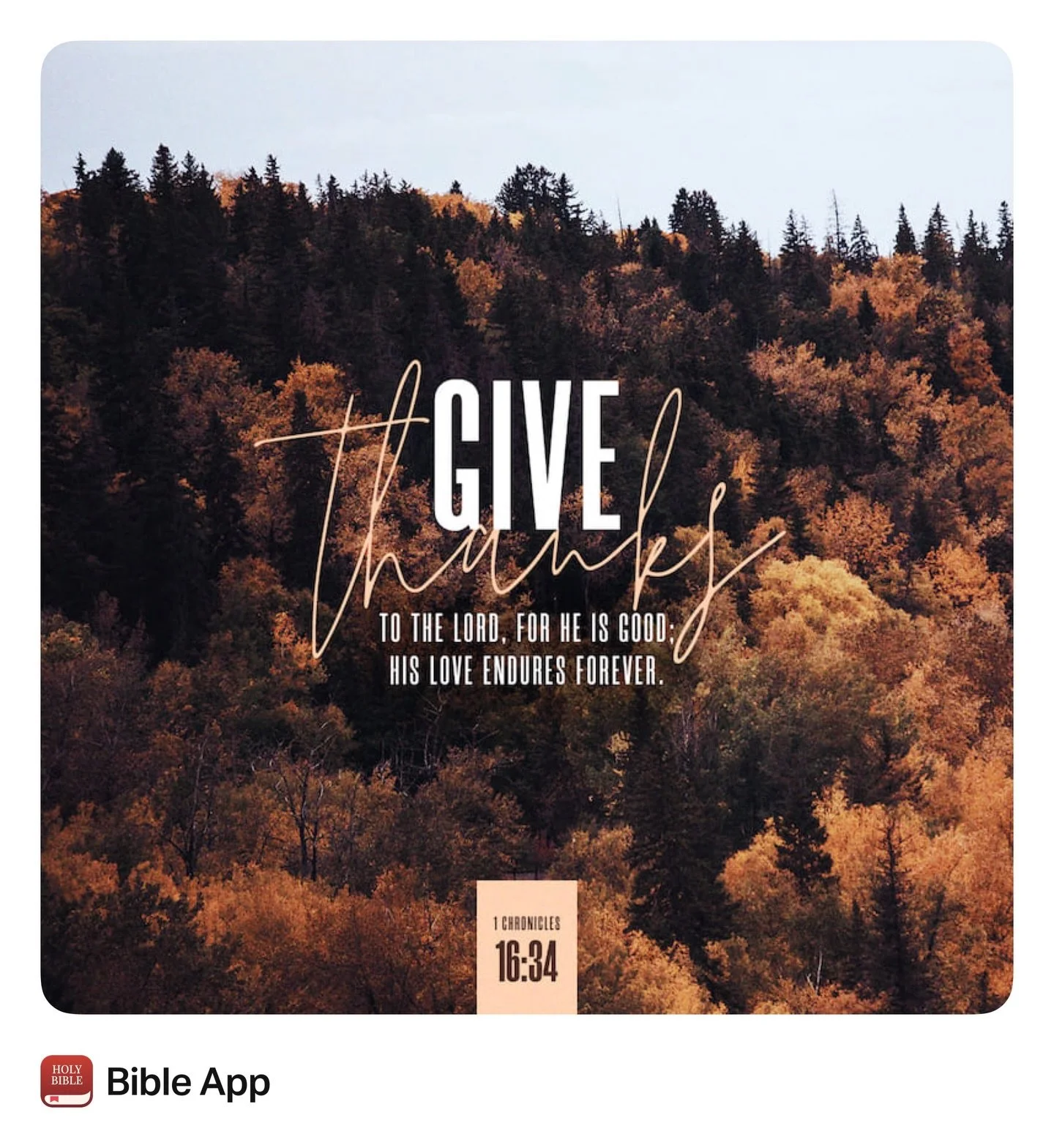 Thankful this week and always #TuesdayTruth