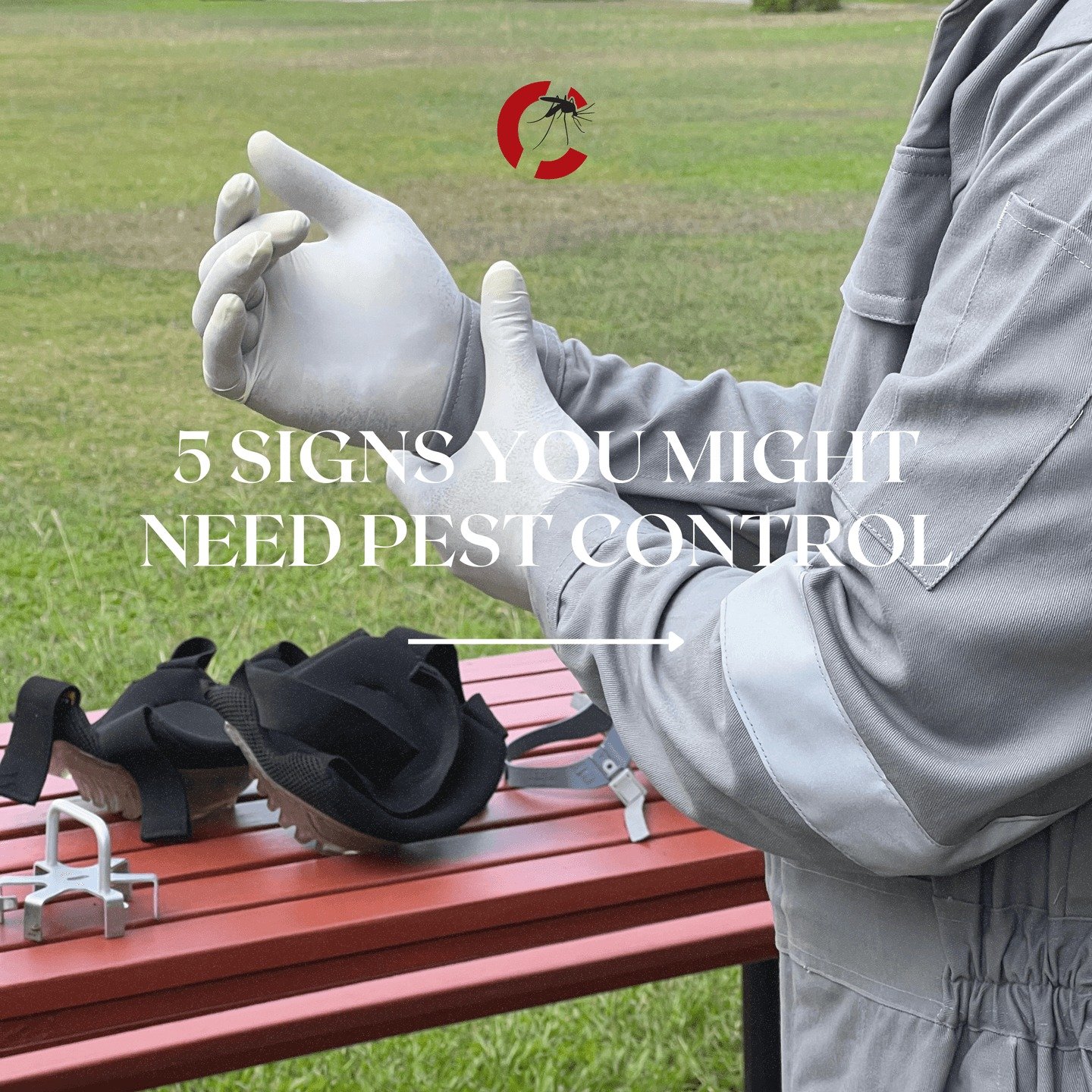 Think you might have uninvited guests? Here are 5 signs it's time to call in the experts

Spotted any of these signs? 

Call us today for a free home 
📞+675 323 0111 | 📧info@compestpng.com