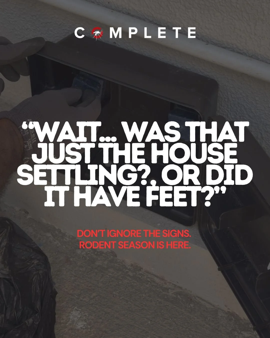 What you don&rsquo;t see can often be the most damaging.
Pests don&rsquo;t just live in plain sight - they hide in walls, ceilings, and under your floors, quietly causing costly damage over time.

Regular inspections aren&rsquo;t just maintenance - t