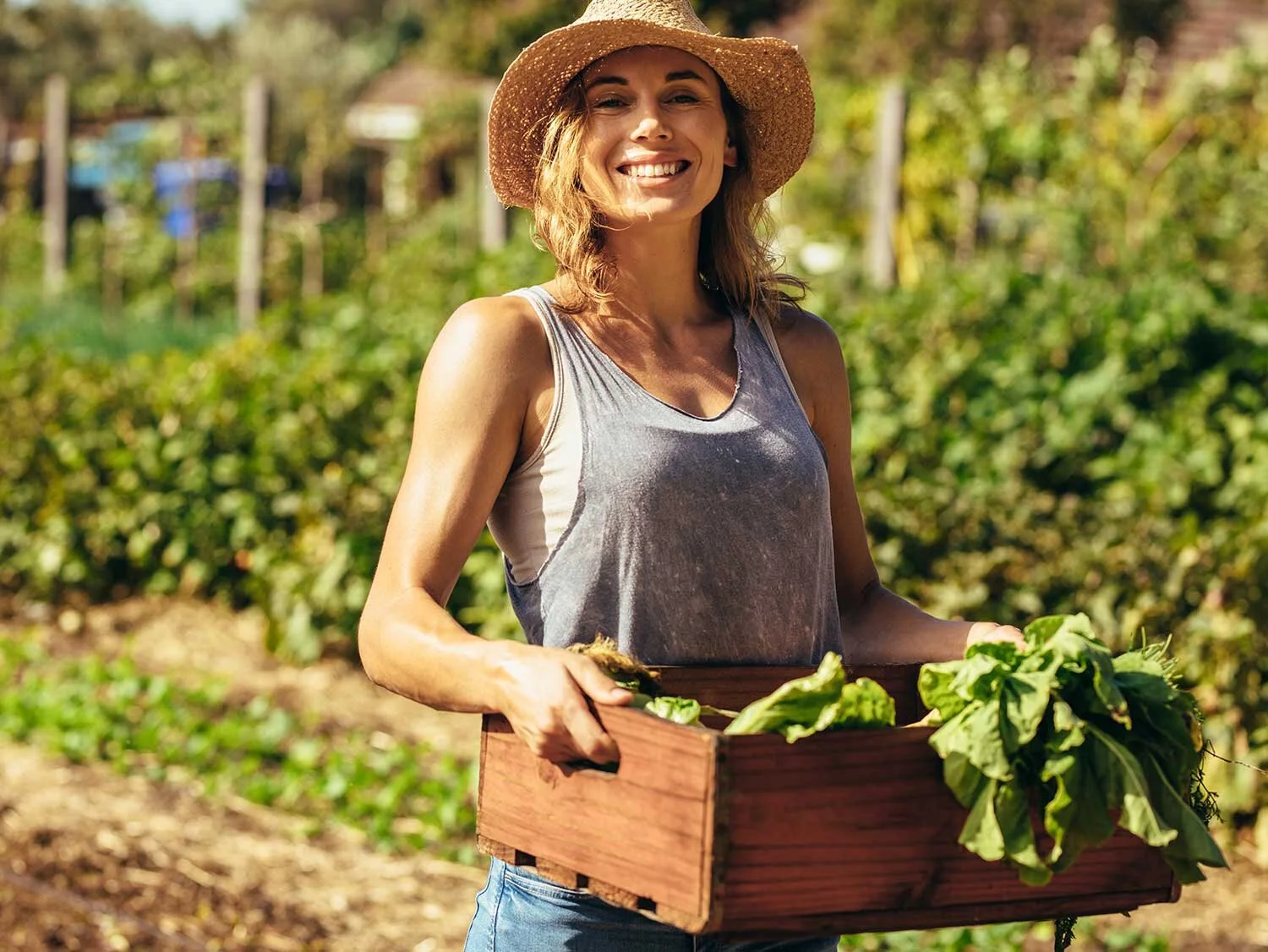 4 Guiding Principles of Organic Farming