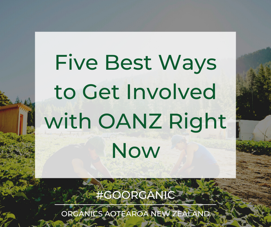 Five Best Ways to Get Involved with OANZ Right Now