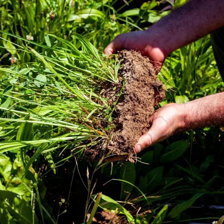 THE+RESULTS Calm the farm.jpeg