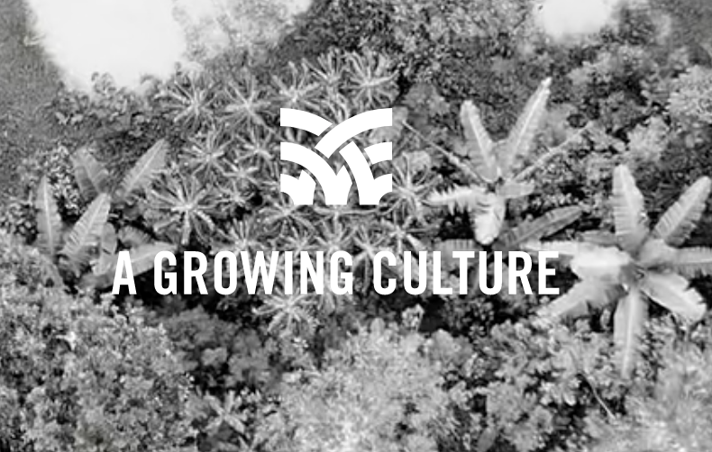 GOING ORGANIC: Does Sri Lanka's Farming Crisis Mean we Shouldn't go Organic?