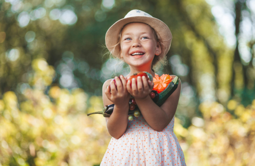 Sowing Sustainability: 10 Positive Impacts of an Organic New Zealand