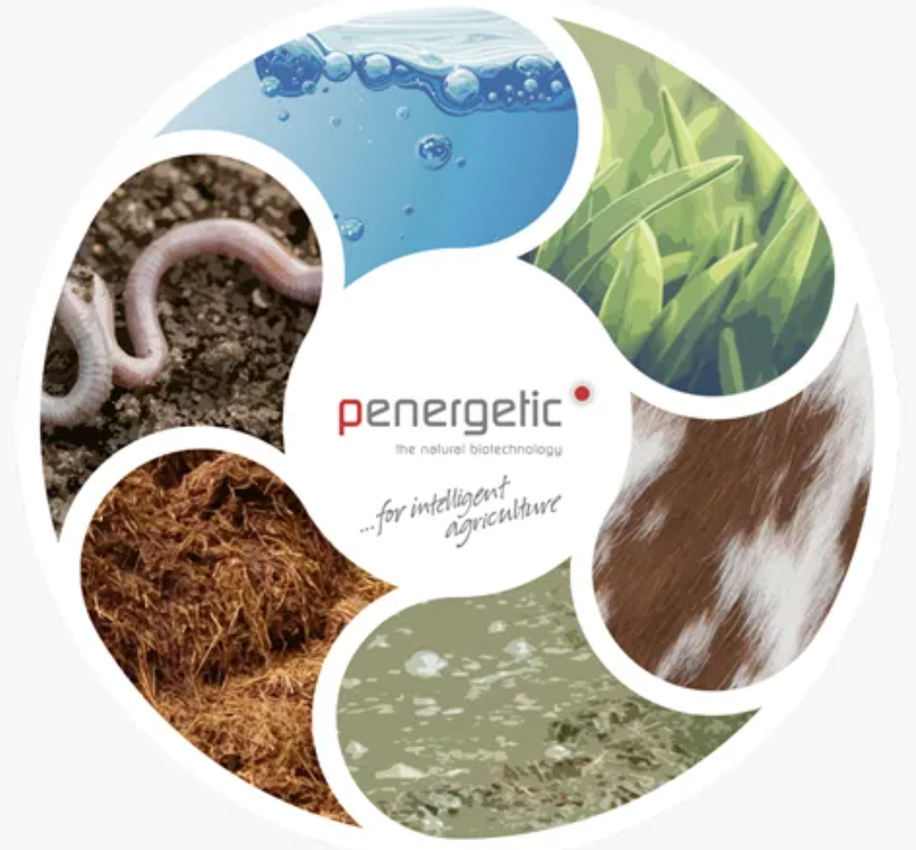 Meet Our Makers: Penegetic New Zealand