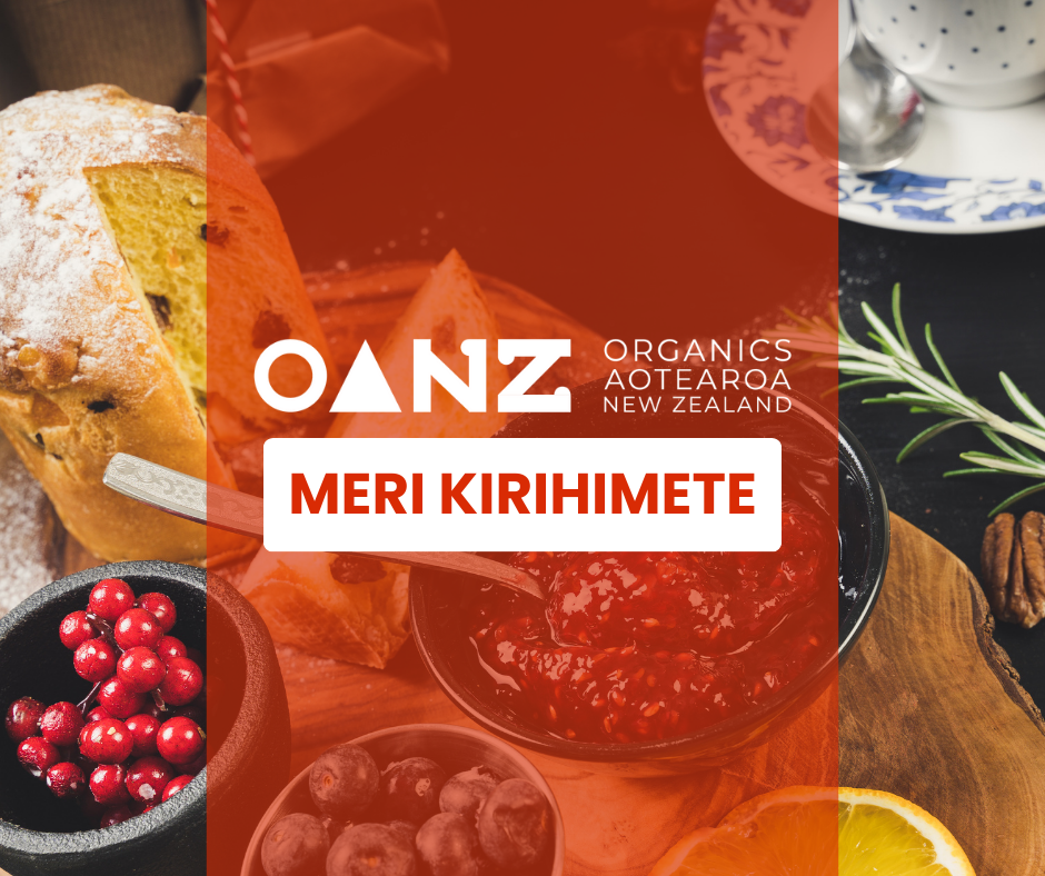 2023 OUR YEAR IN REVIEW