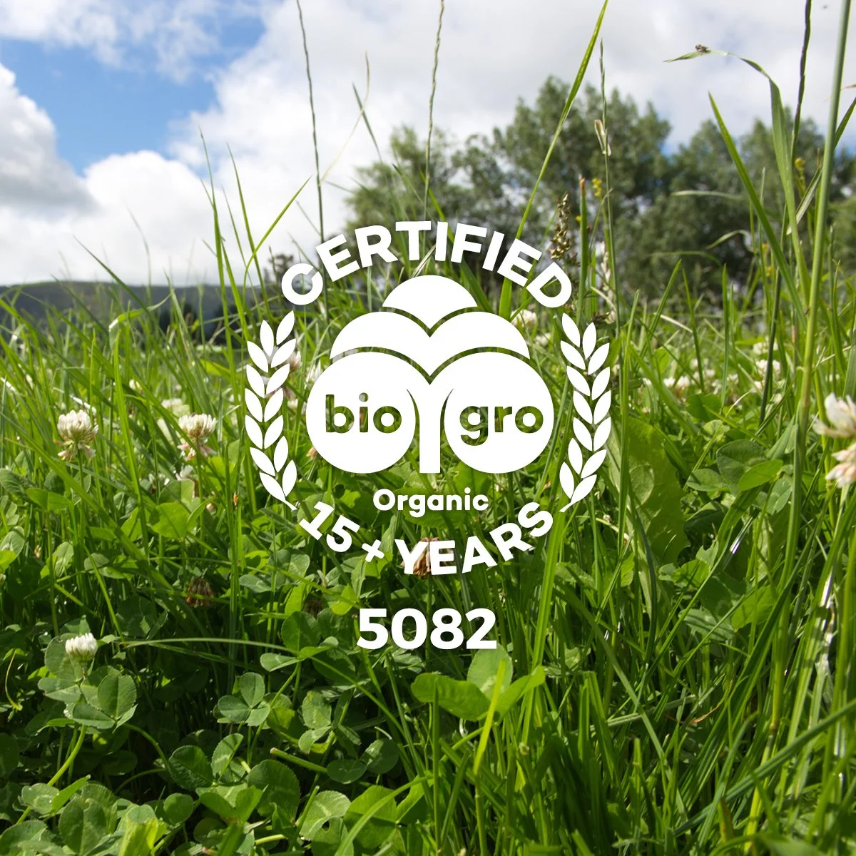 Meet Our Makers: Q&amp;A with Chris Lees, Fertco