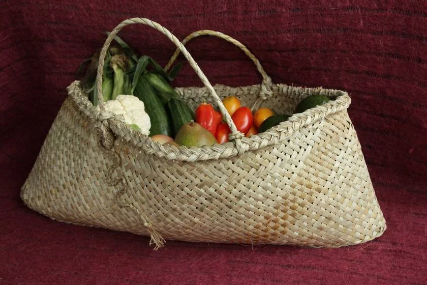 New Research Highlights How Organic and Biodynamic Farming Enhance Soil Health and Nutrient Density