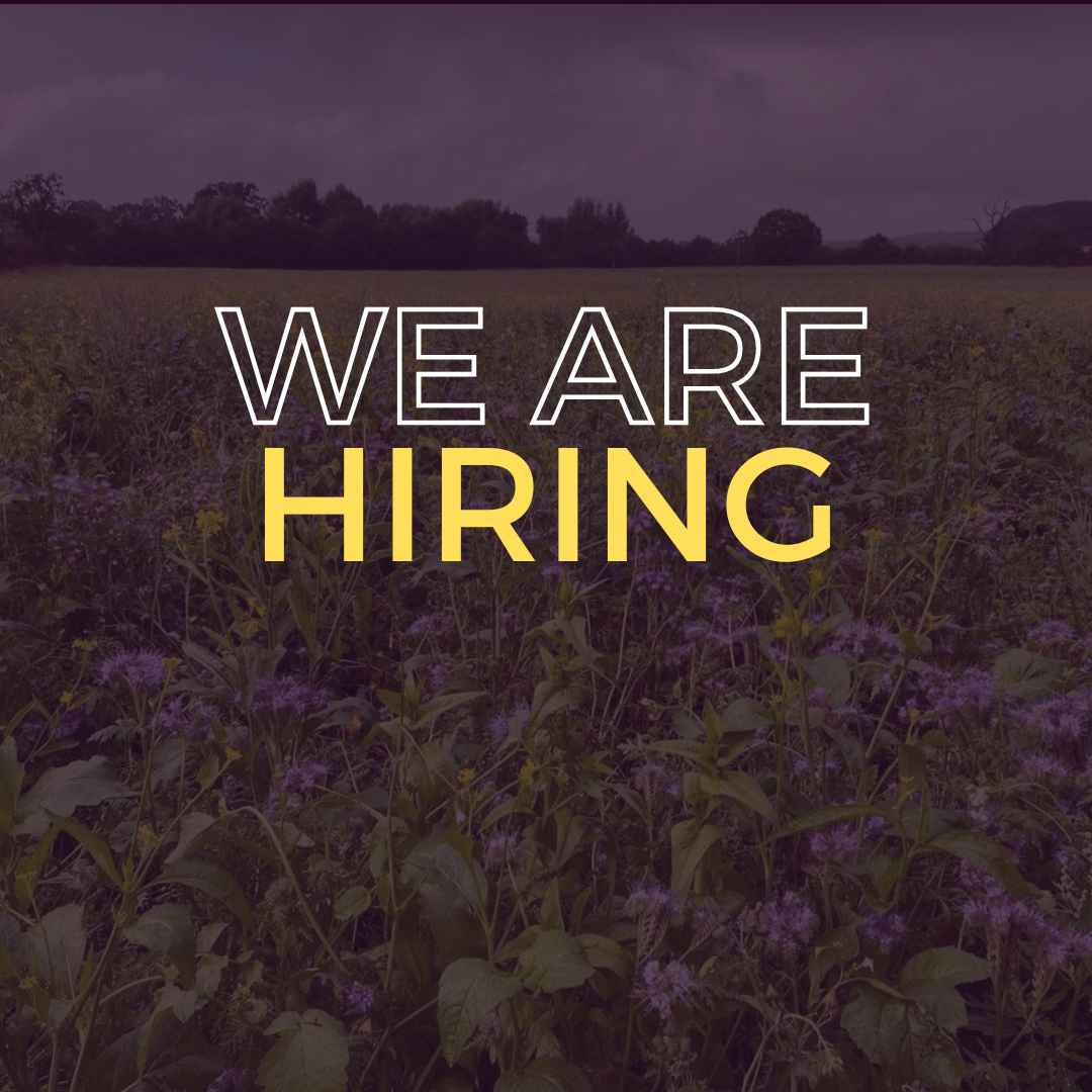 Seeking a superstar assistant to help our small charity thrive over the next three months