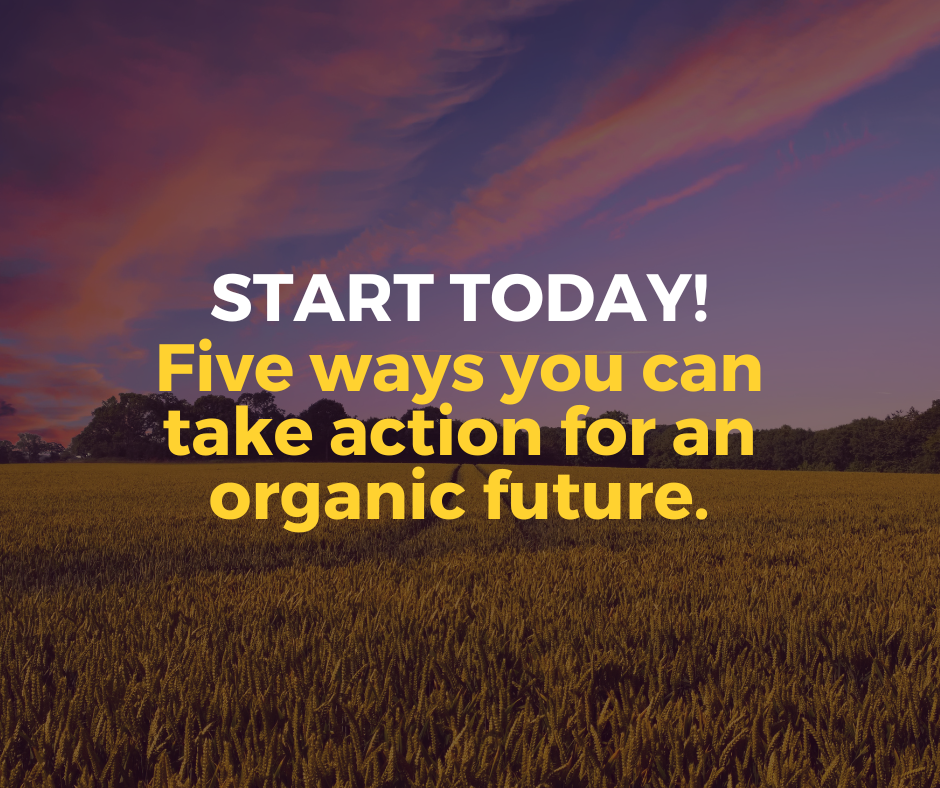5 Actions You Can Take Right Now for an Organic Future