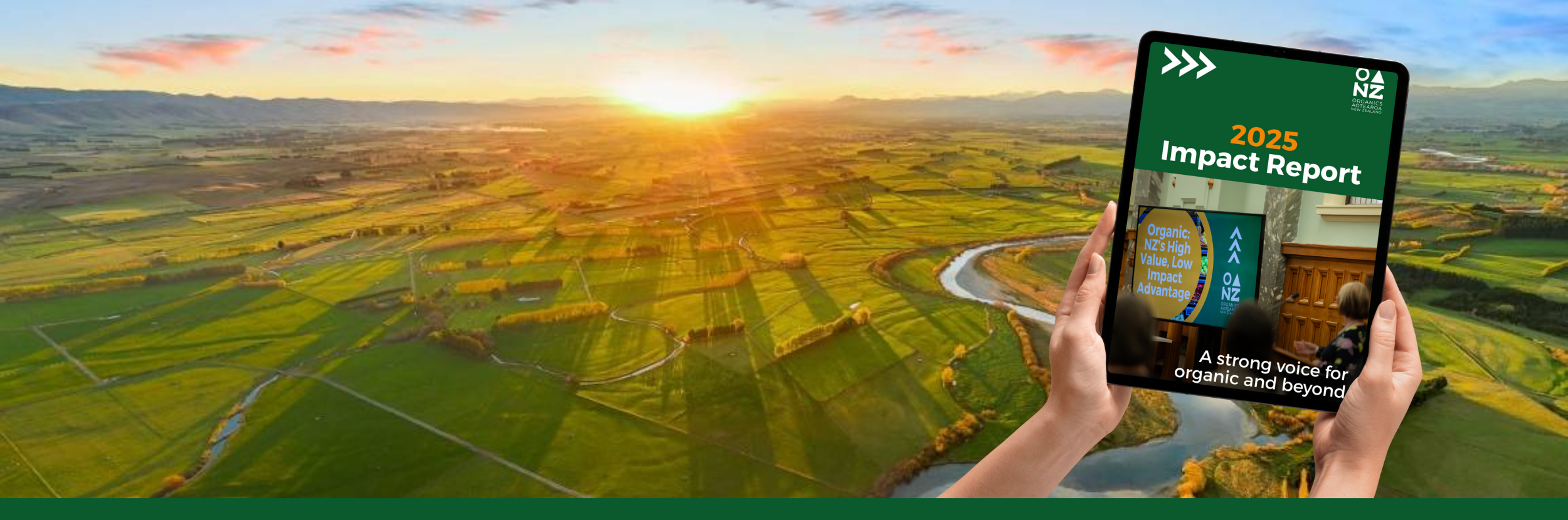 OUR IMPACT REPORT