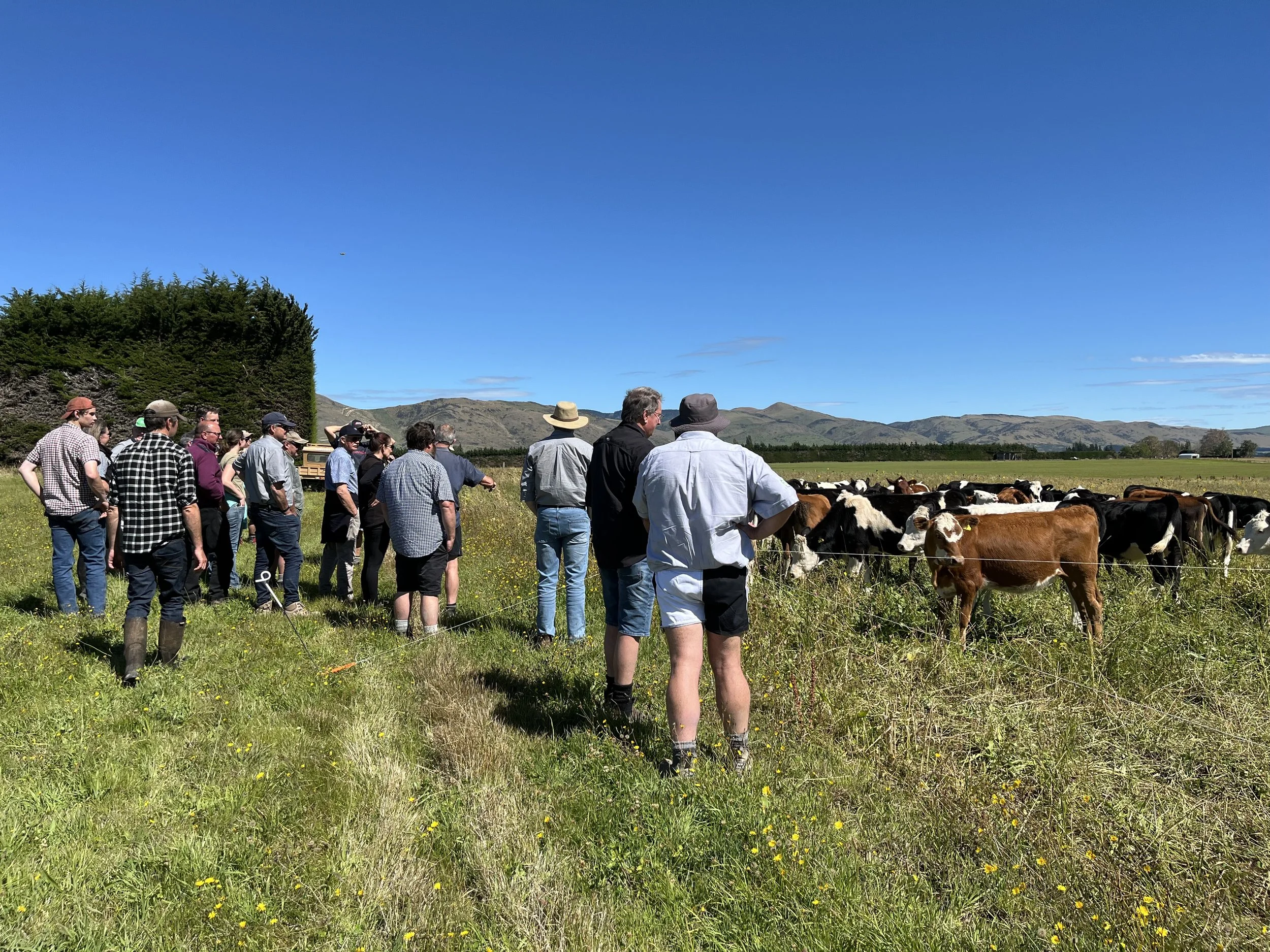 Southland Farm day.jpeg
