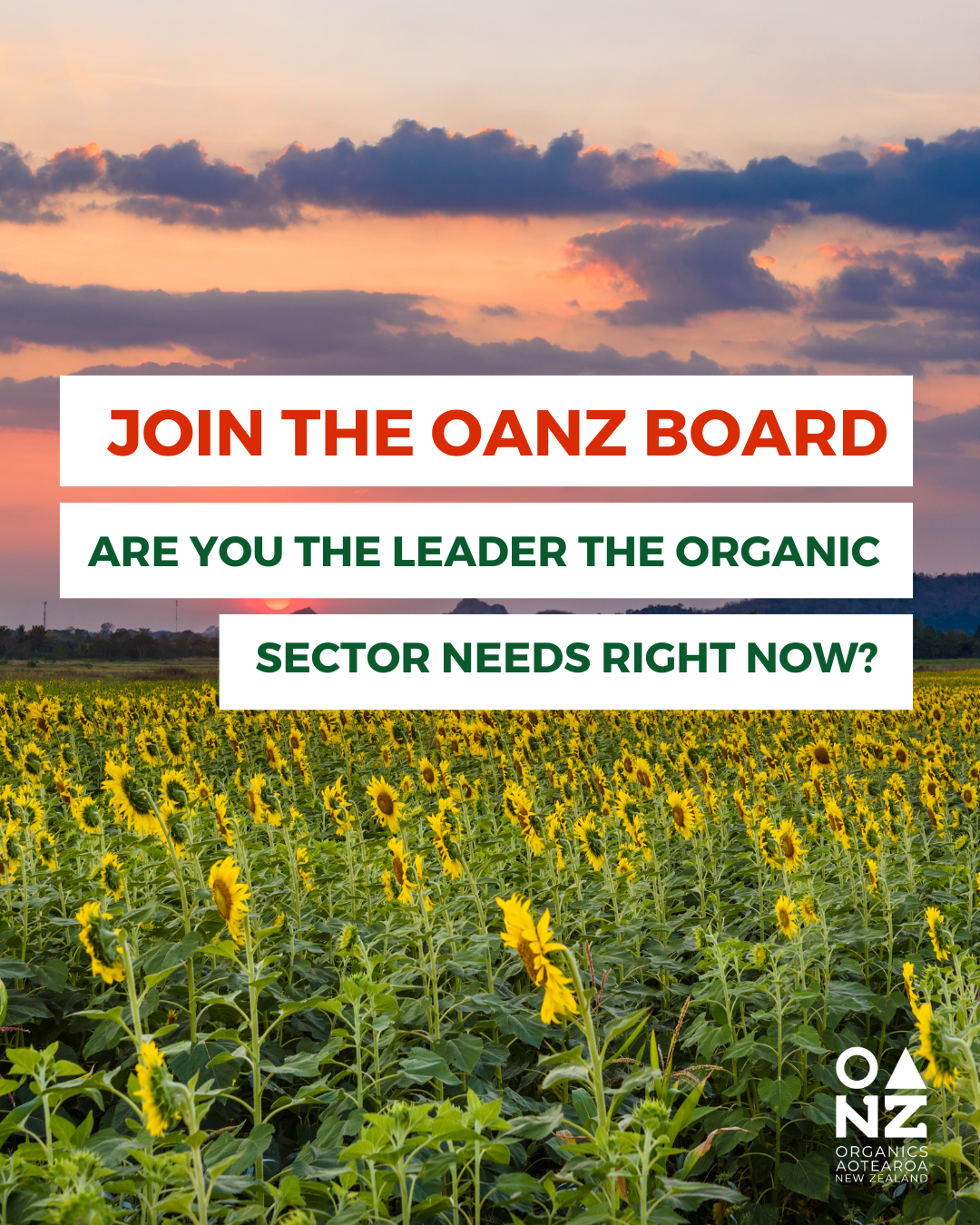 We are Recruiting. Join the OANZ Board.