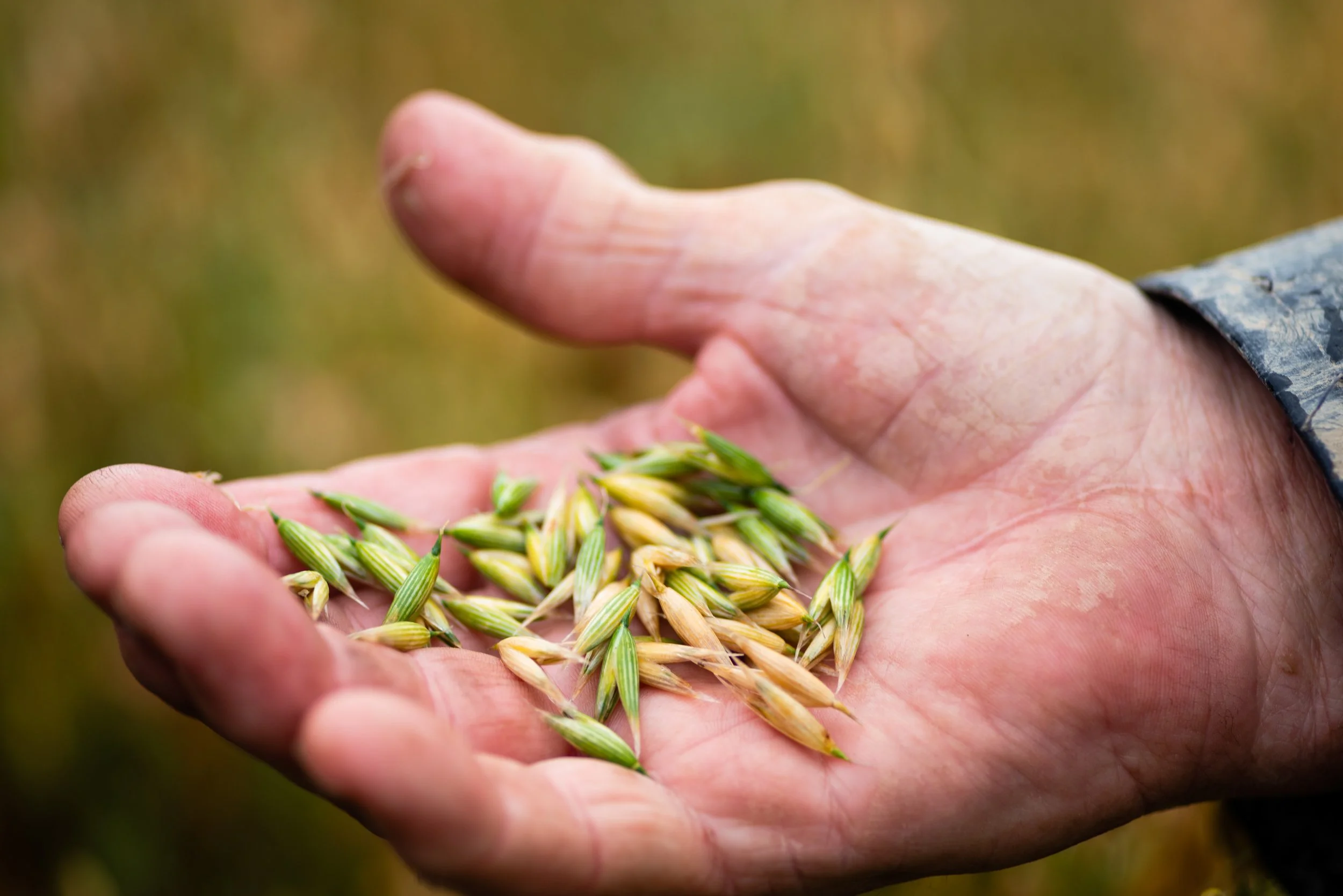 Meet Our Makers: Q&A with Peter Cox, Harraways — Organics Aotearoa New ...