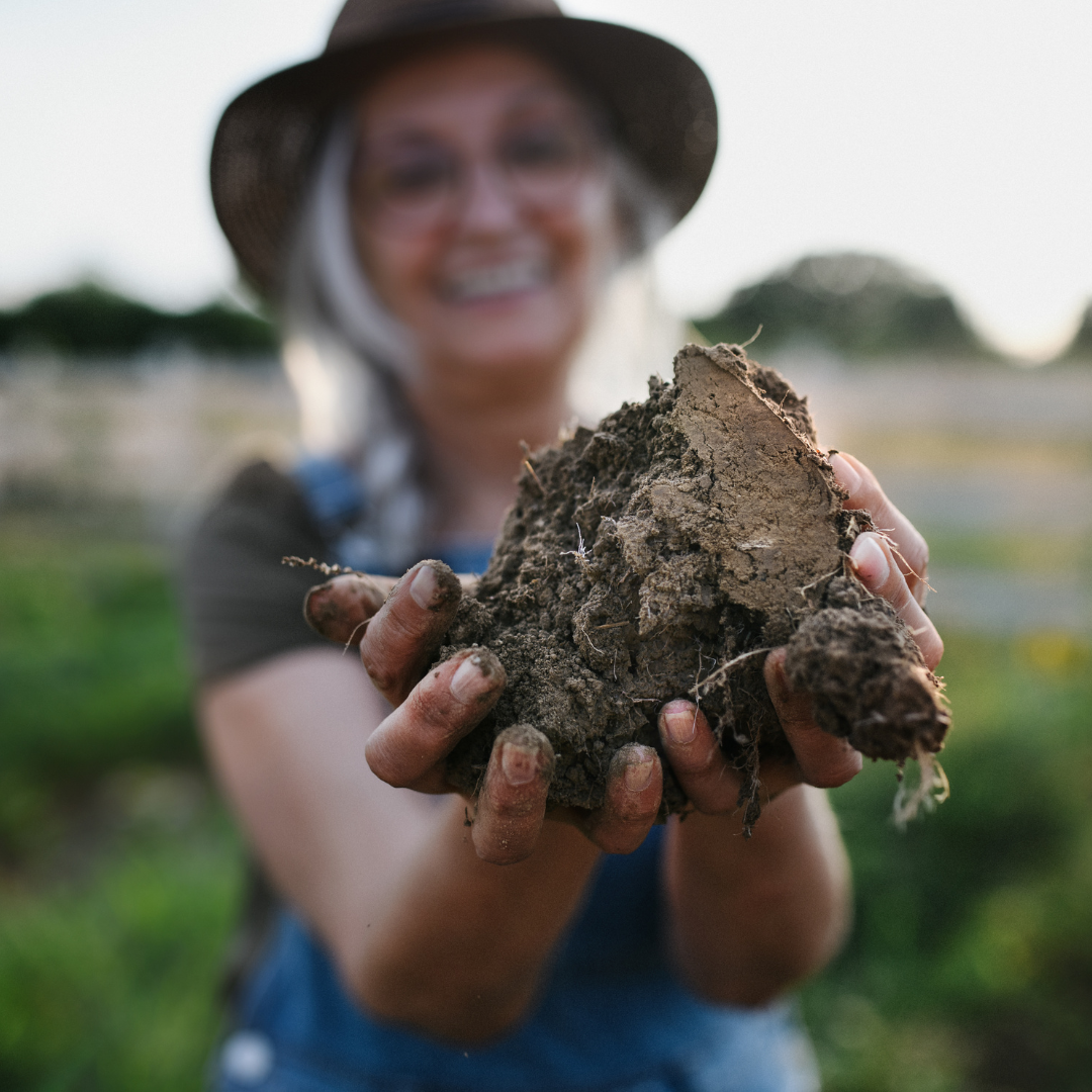 What is Organic — Organics Aotearoa New Zealand