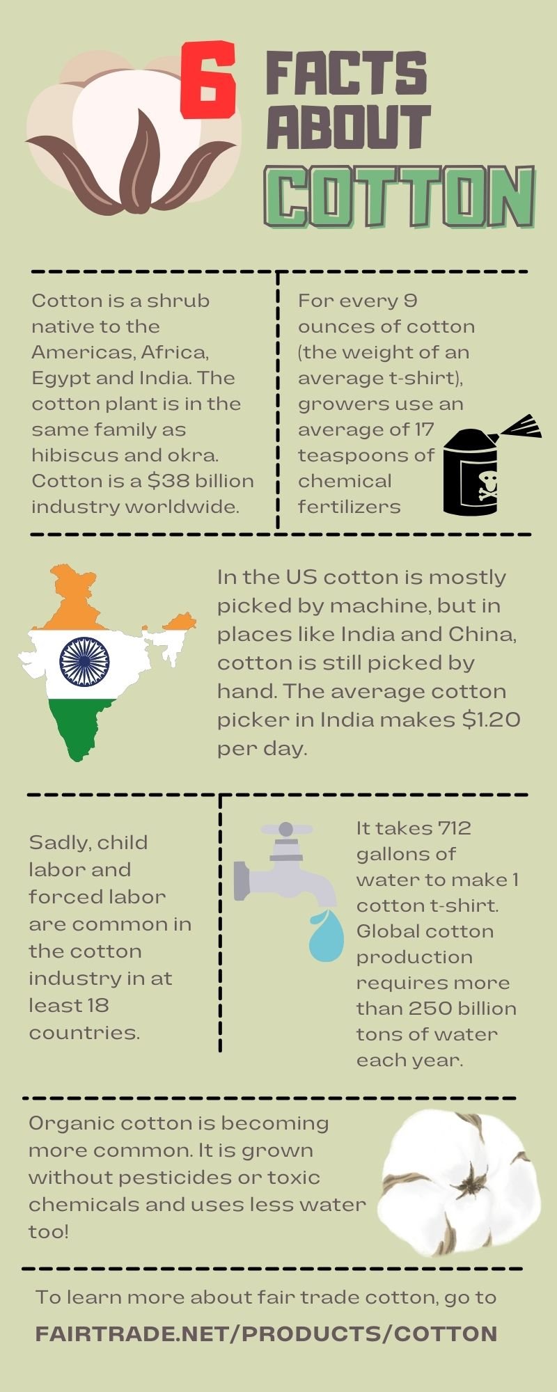 Green & Brown Monstera Plant Fun Facts Infographic (1).jpg